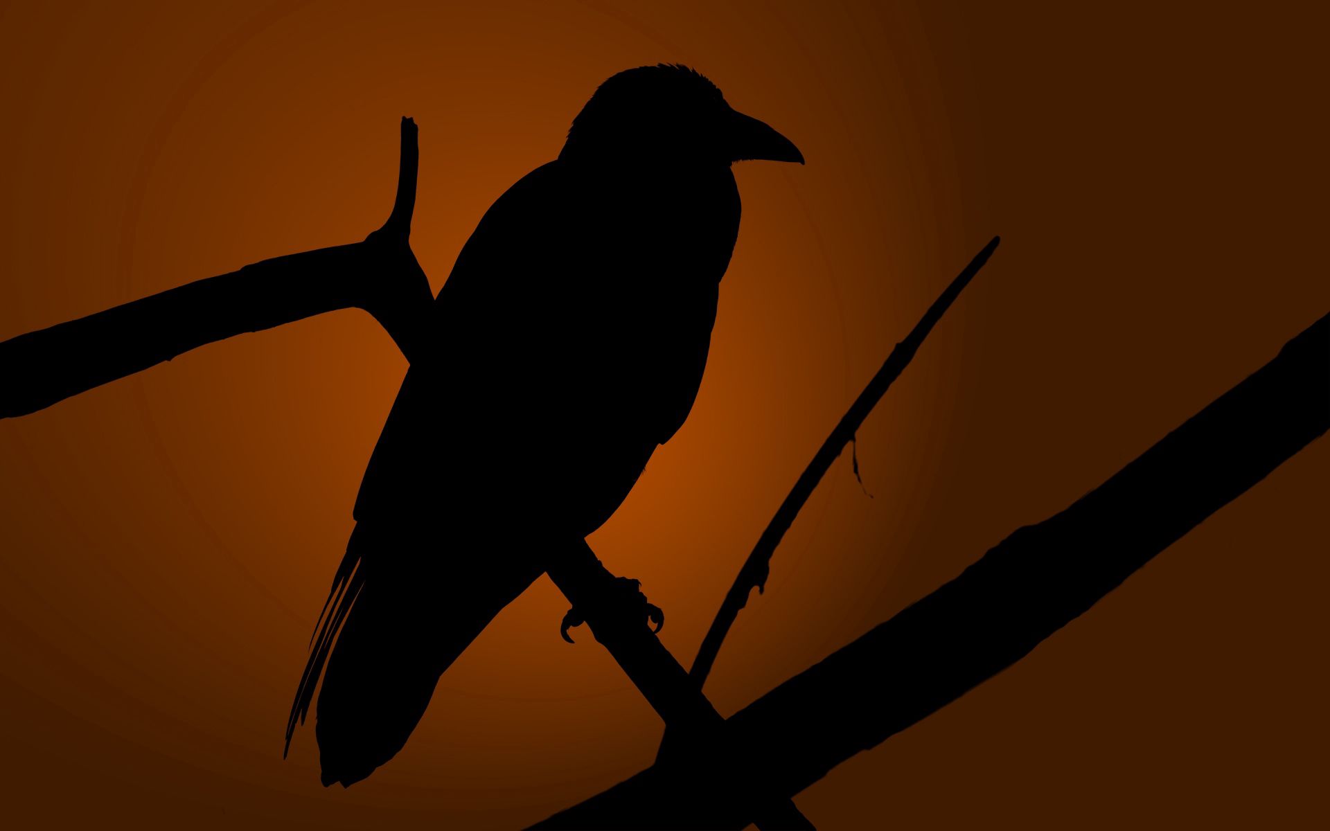 raven, dark, silhouette, bird, shadow