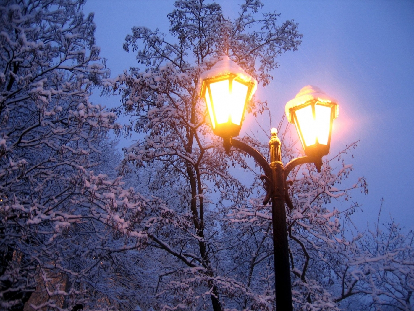 Скачать картинку Снег, Деревья, Ночь, Пейзаж в телефон бесплатно.