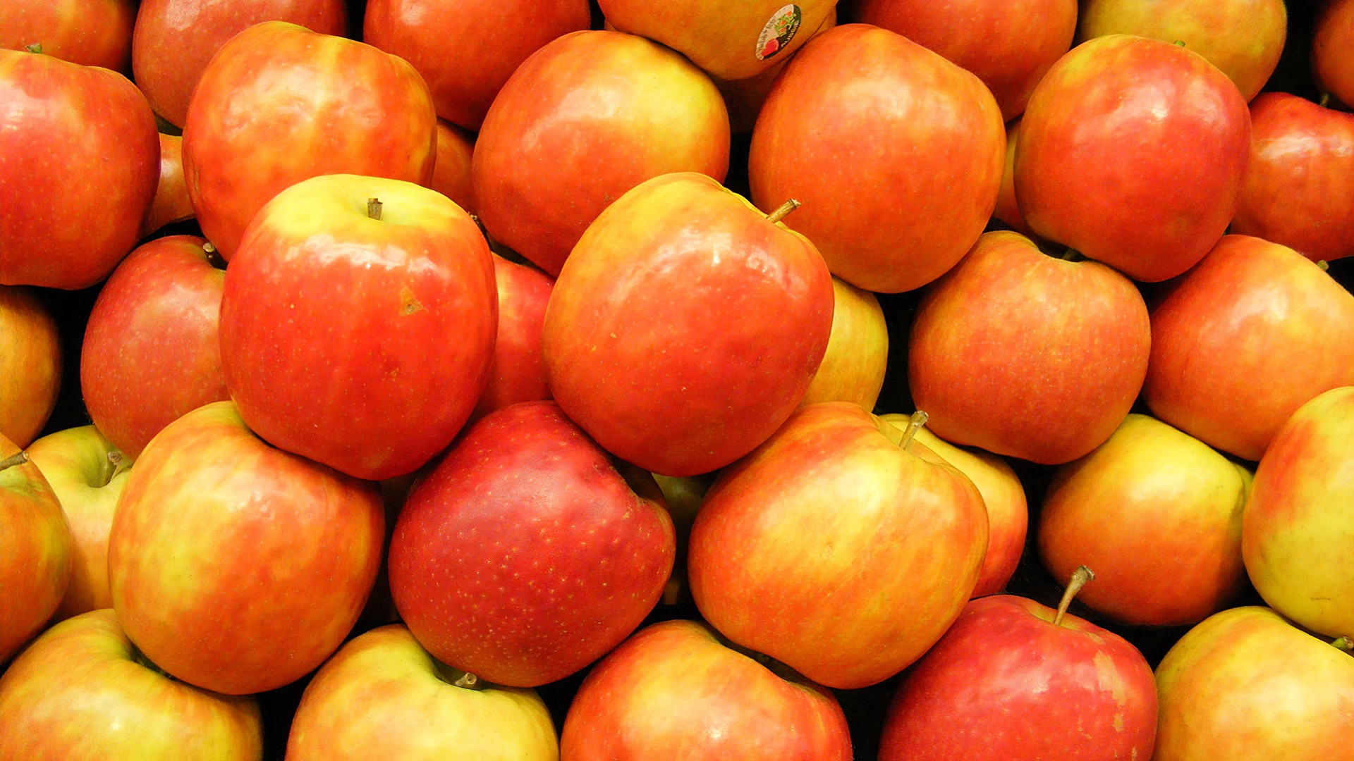fruits, food, apple, fruit Free Stock Photo