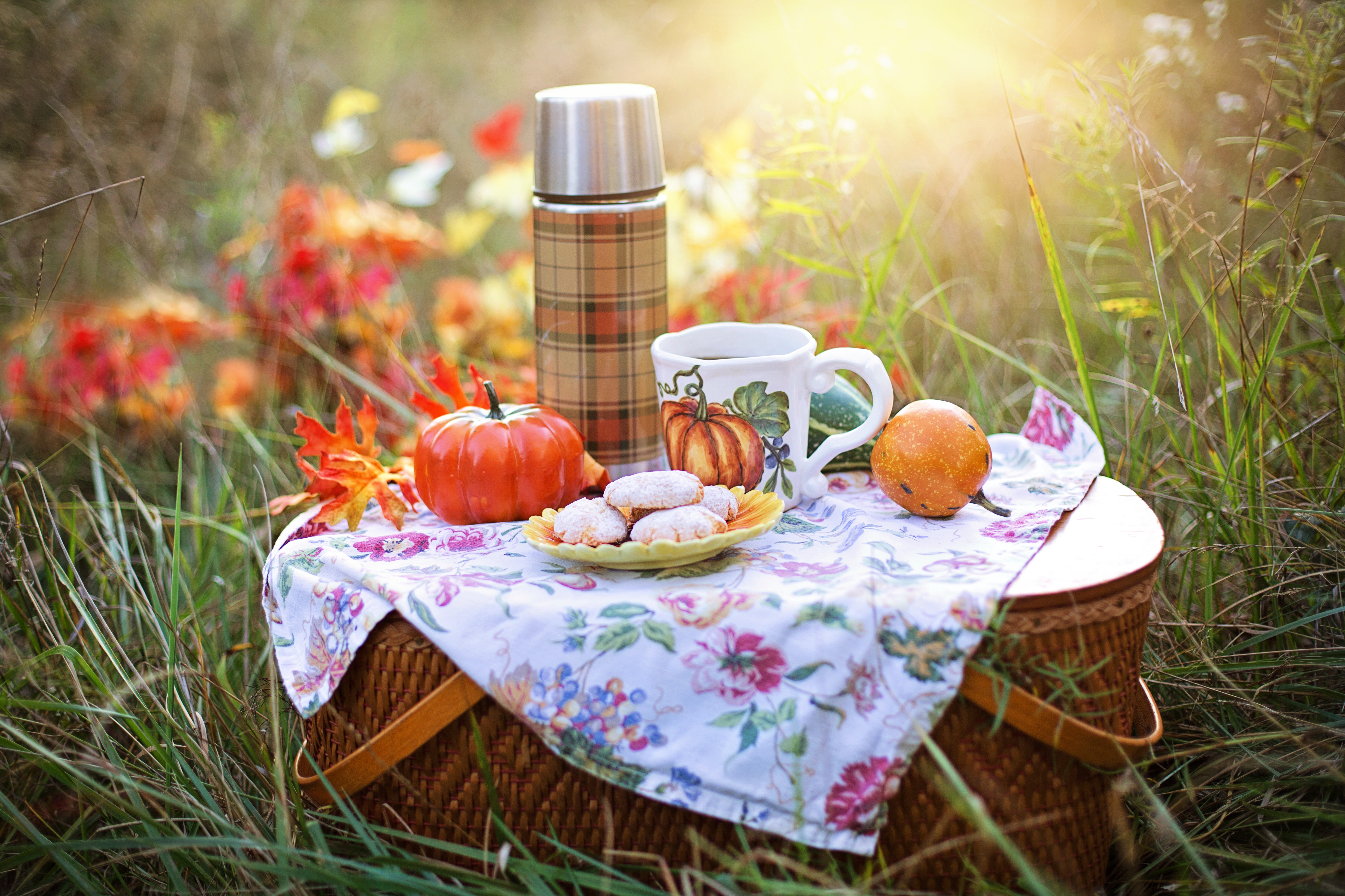 Утро пикник. Пикник на природе. Осенний пикник. Пикник осенью на природе. Осеннее чаепитие.