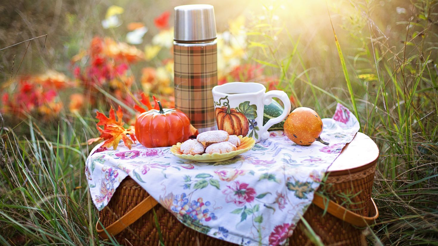 Пикник воды и хлеба. Пикник на природе. Осенний пикник. Пикник осенью на природе. Осеннее чаепитие.