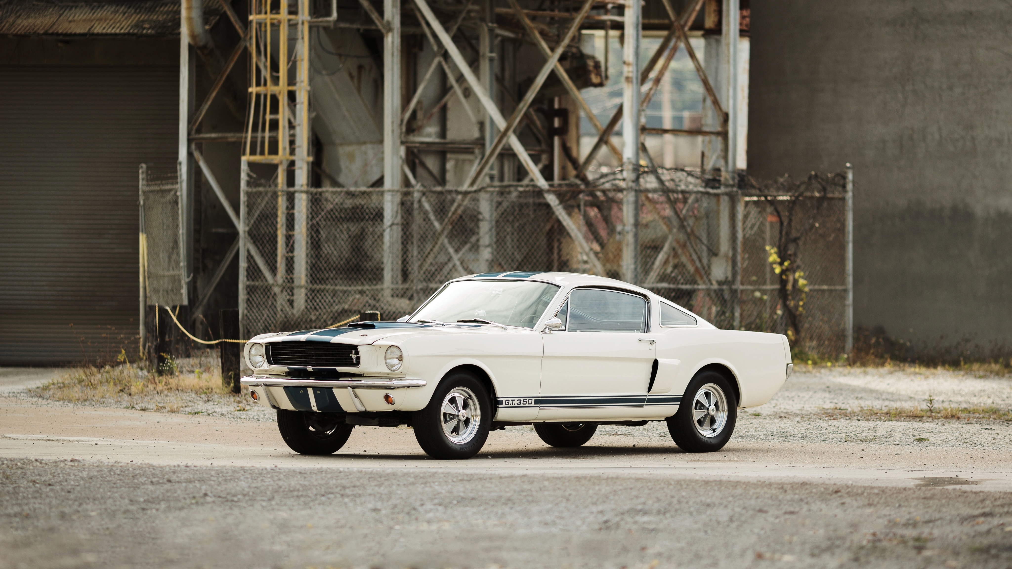 ford mustang, shelby, cars, gt350, 1966