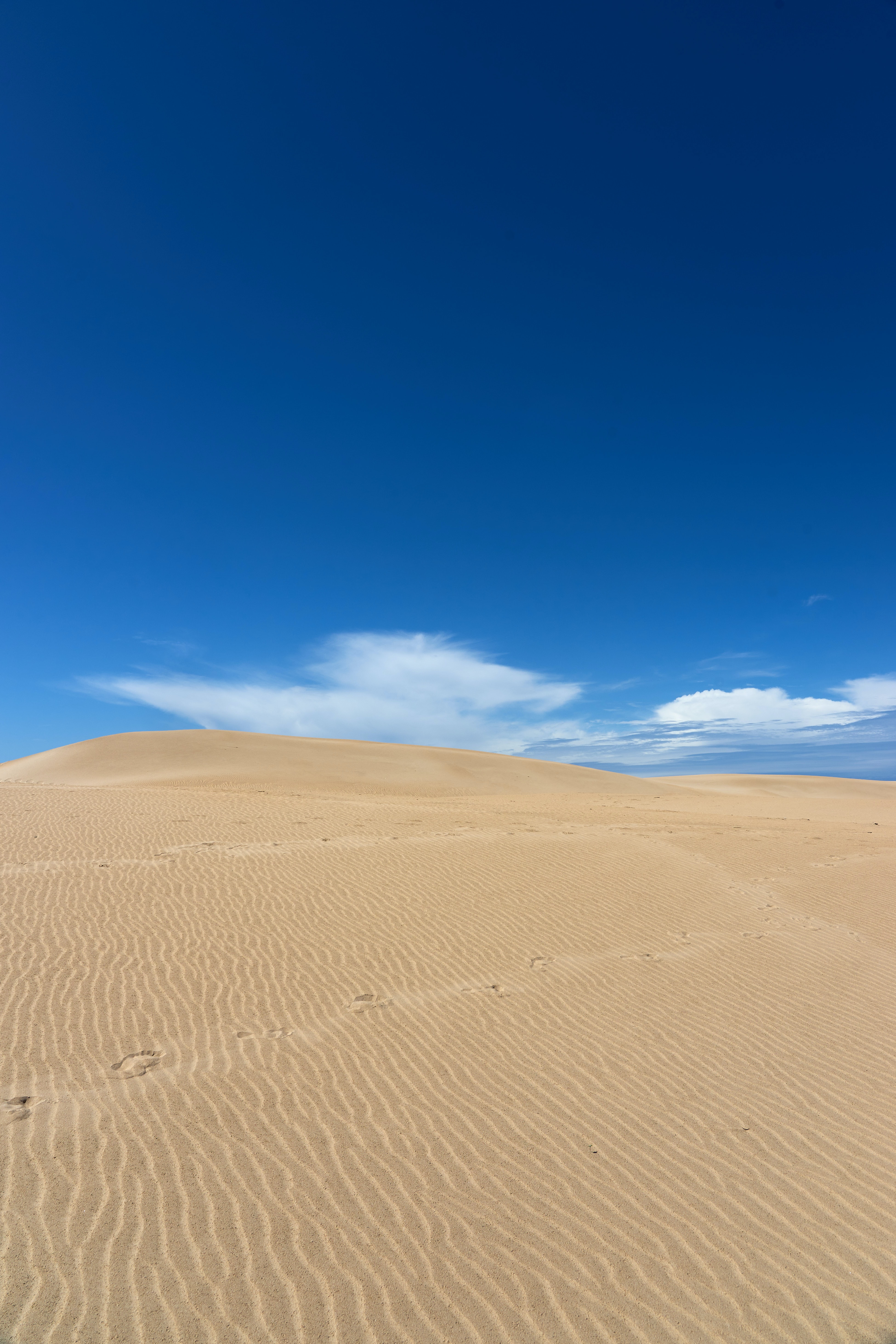 82060 завантажити шпалери природа, небо, пісок, пустеля, хвилястий, хвилясті, бархани, дюни, слід, трасування - заставки і картинки безкоштовно