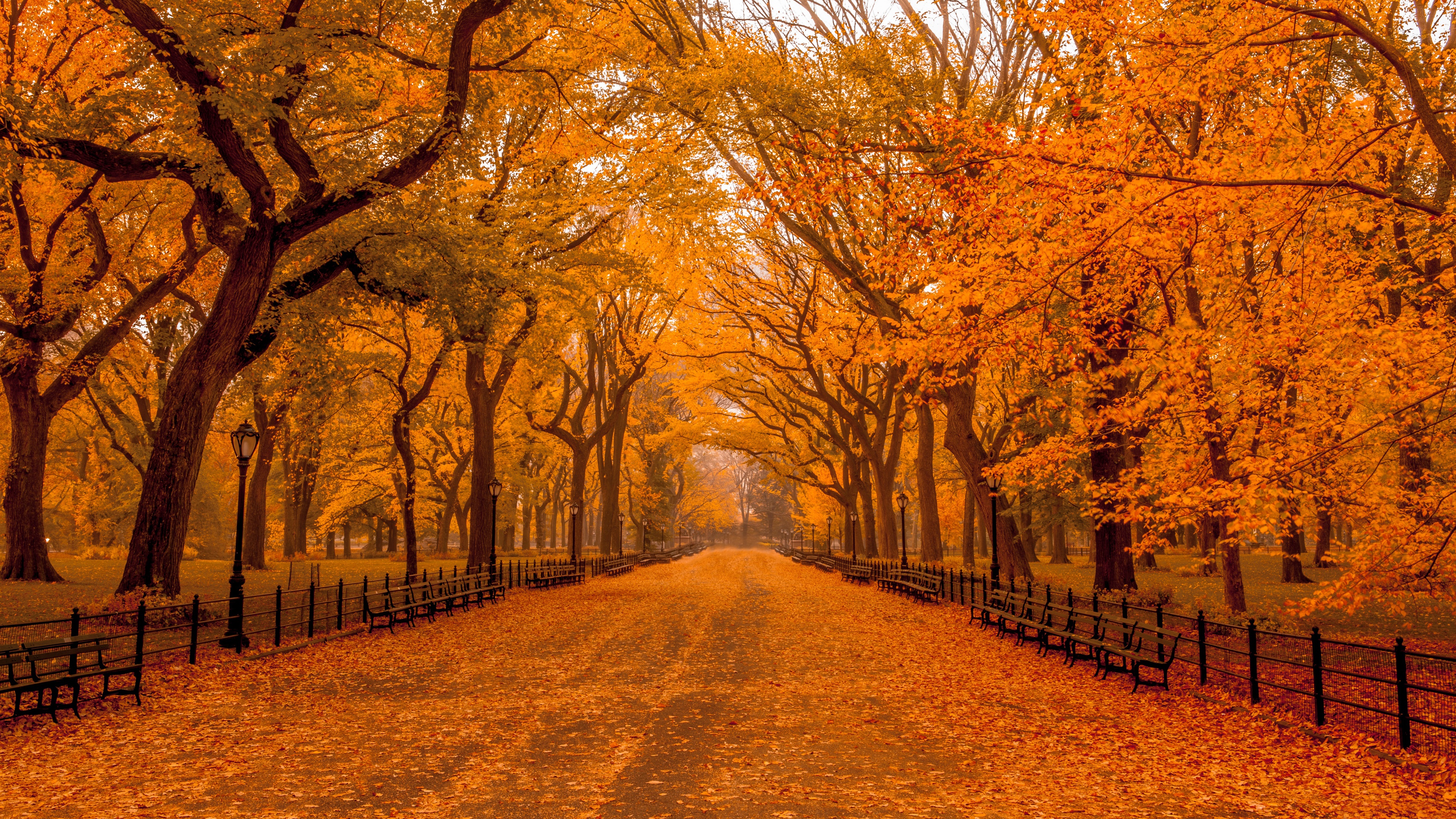 1065675 免費下載壁紙 人造, 中央公园, 秋季, 纽约, 公园 屏保和圖片