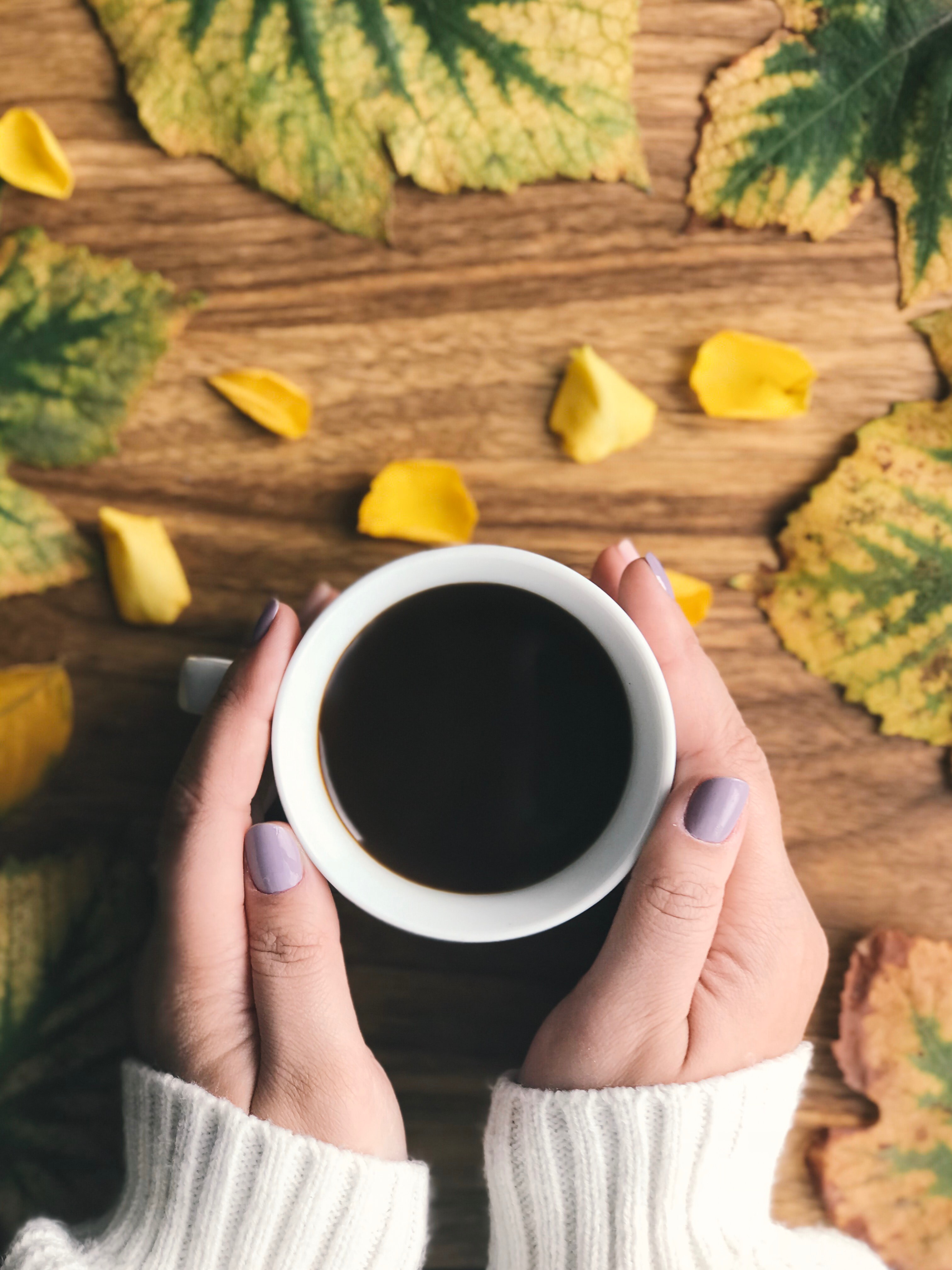 food, leaves, coffee, cup, hands