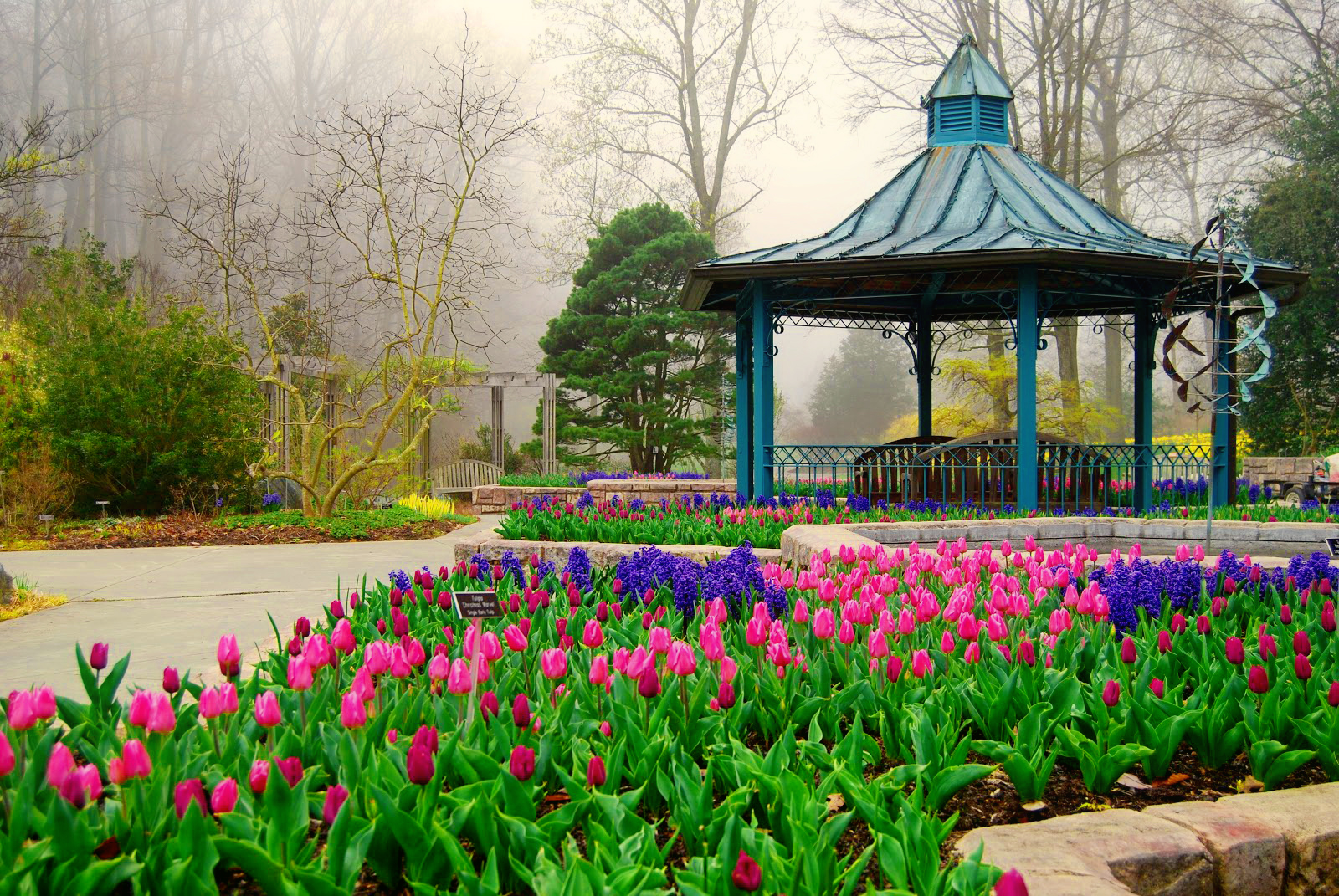 Беседка тюльпан. Весенняя беседка. Парки цветы беседки. Парк весной. Цветы беседка в парке.