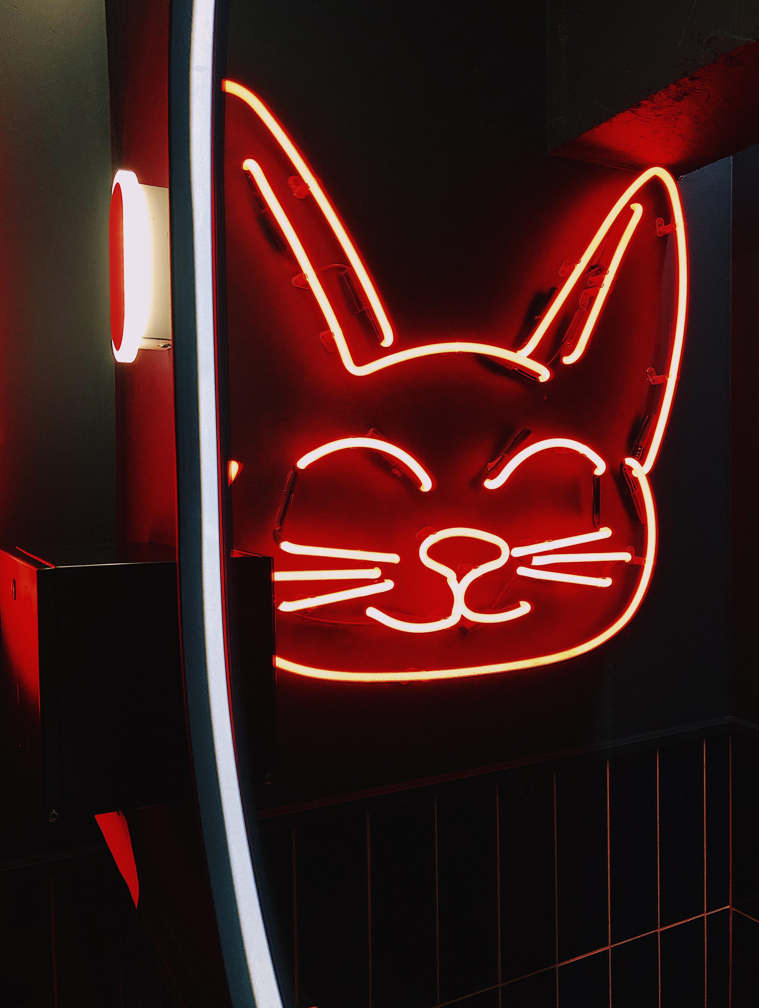 neon, shine, red, dark, light, cat, sign, signboard 1080p