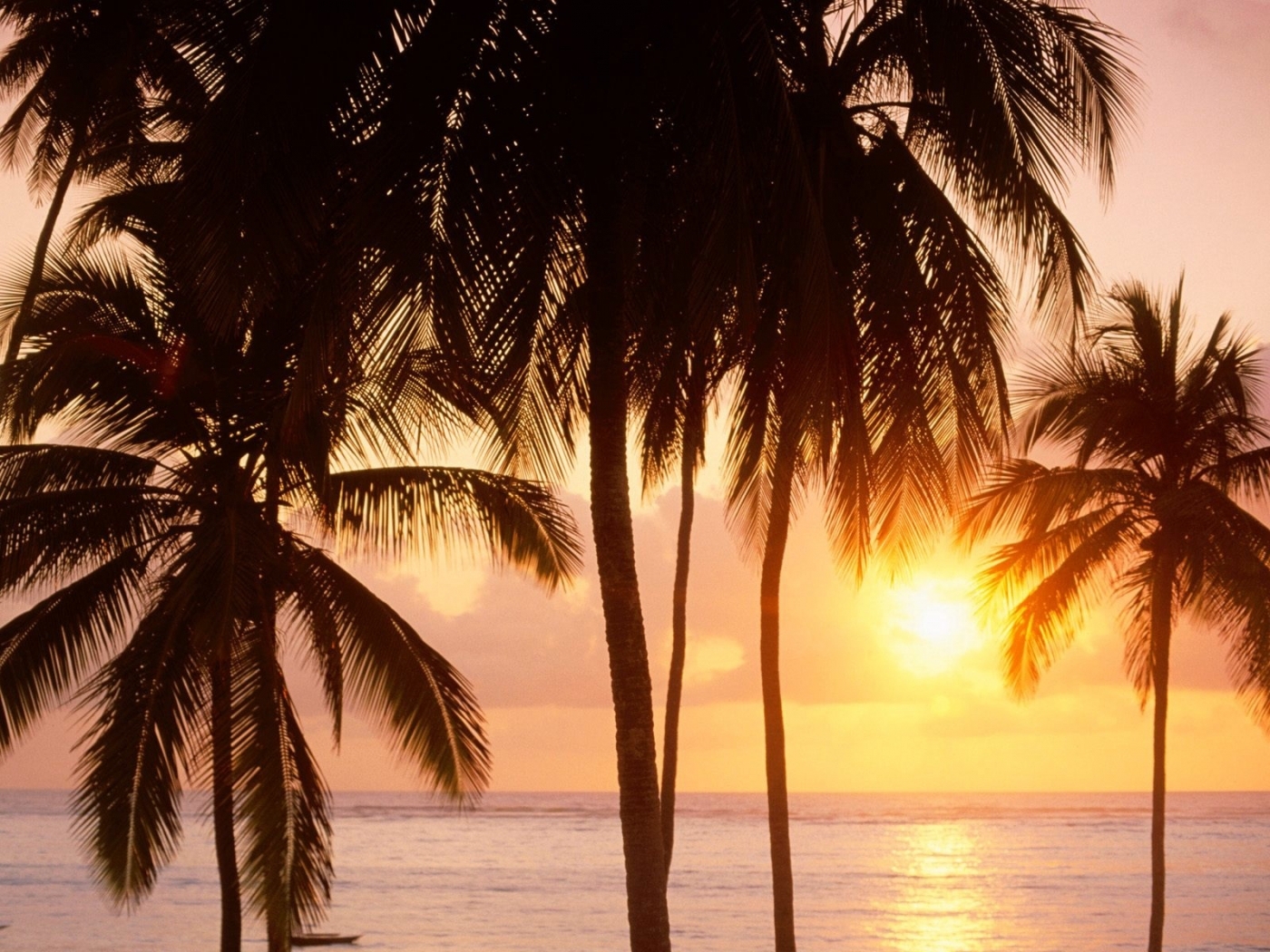 Download mobile wallpaper Landscape, Sea, Sunset, Palms for free.
