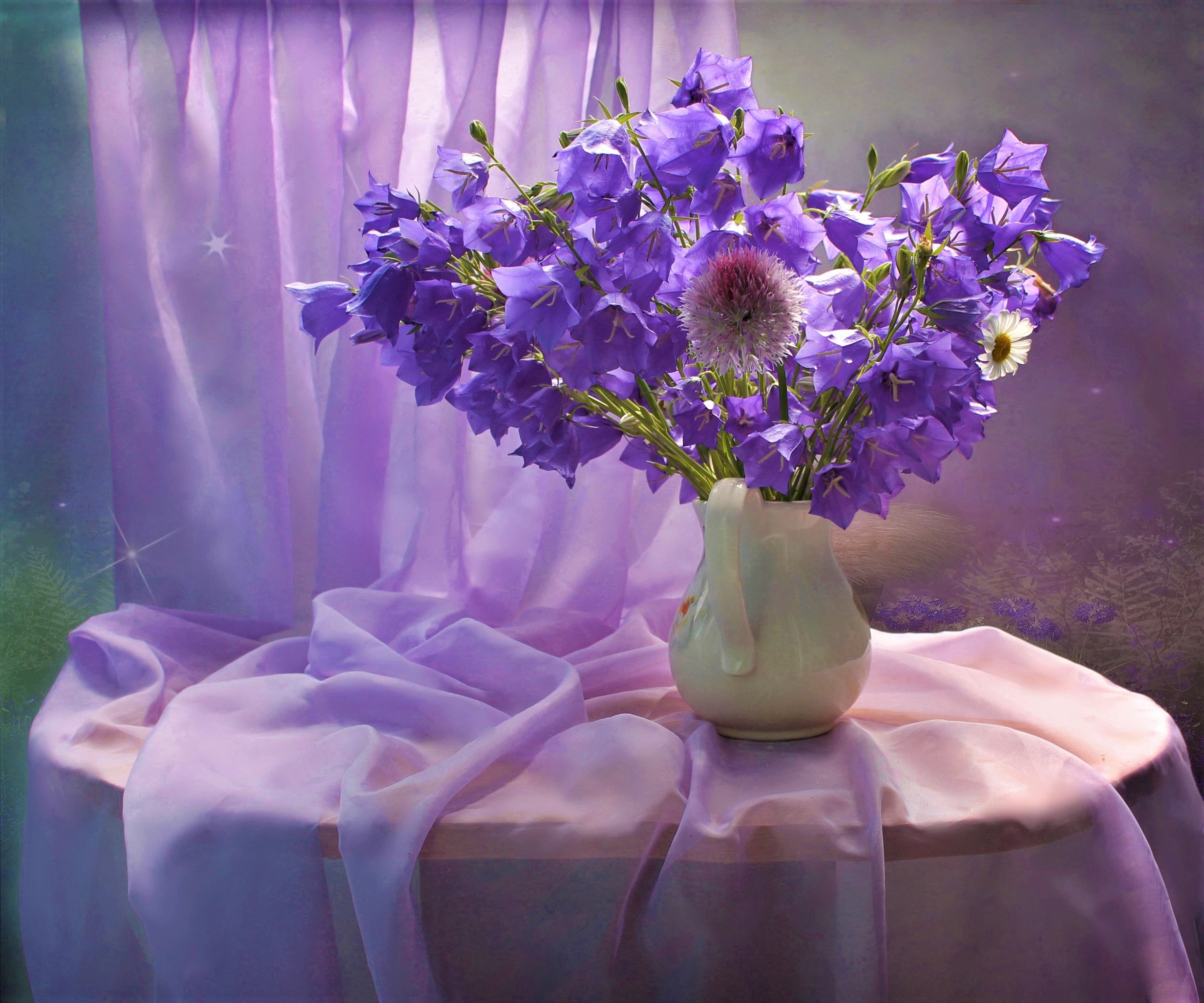 無料モバイル壁紙静物, 花, カーテン, 写真撮影, 紫色の花, ピッチャーをダウンロードします。