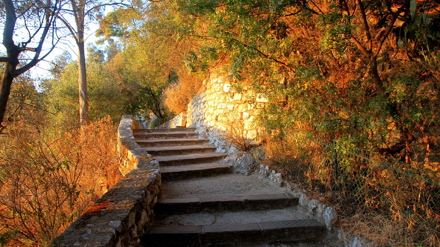 Остановился лестница. Осень лестница. Лестница вверх. Лестница в парке. Лестницы в парках.