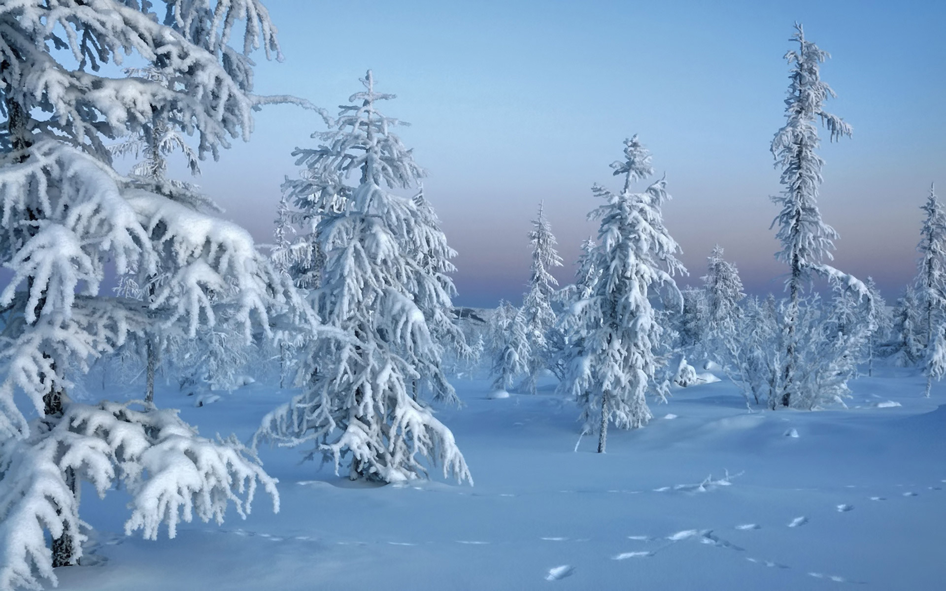 Descarga gratuita de fondo de pantalla para móvil de Invierno, Nieve, Paisaje.