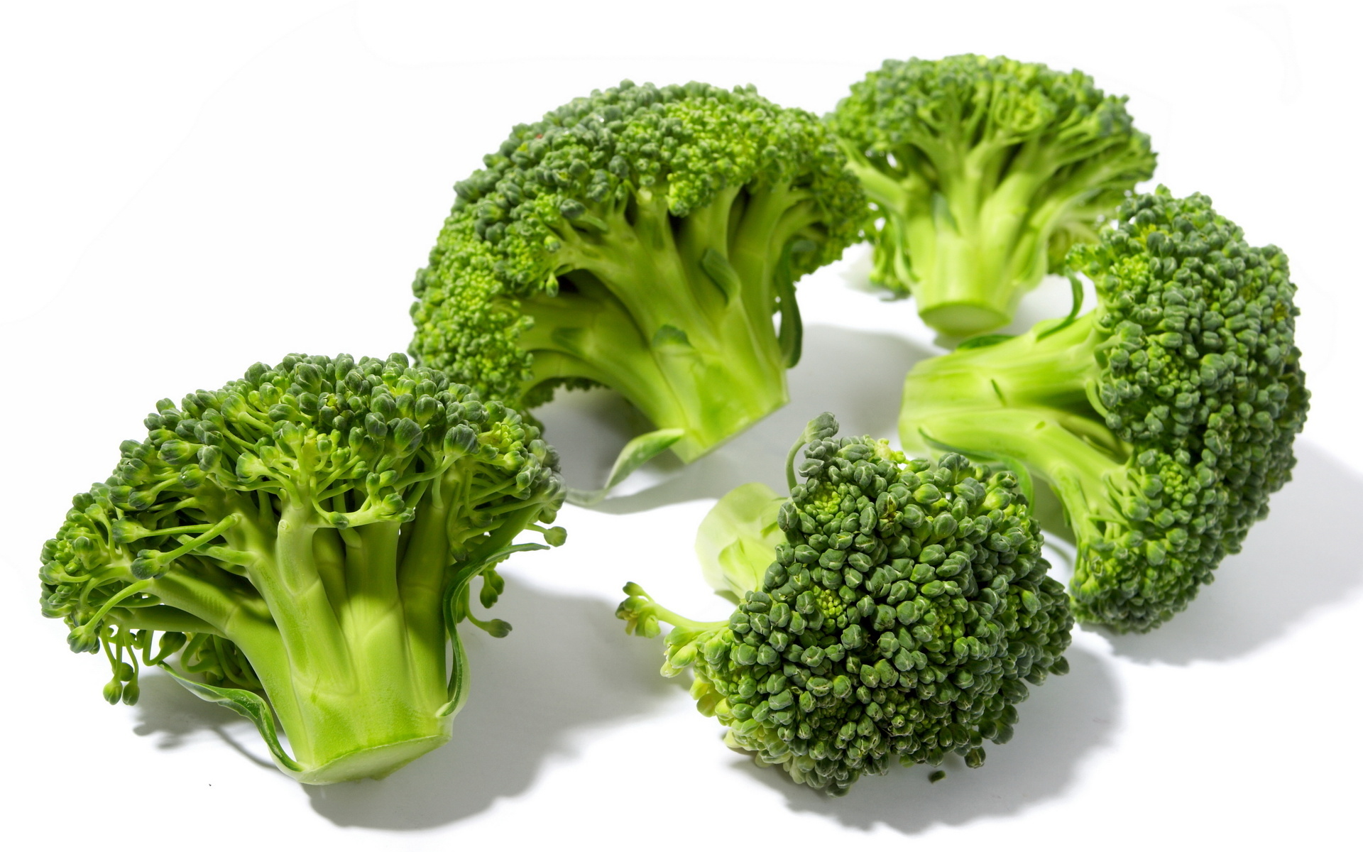 food, broccoli 32K