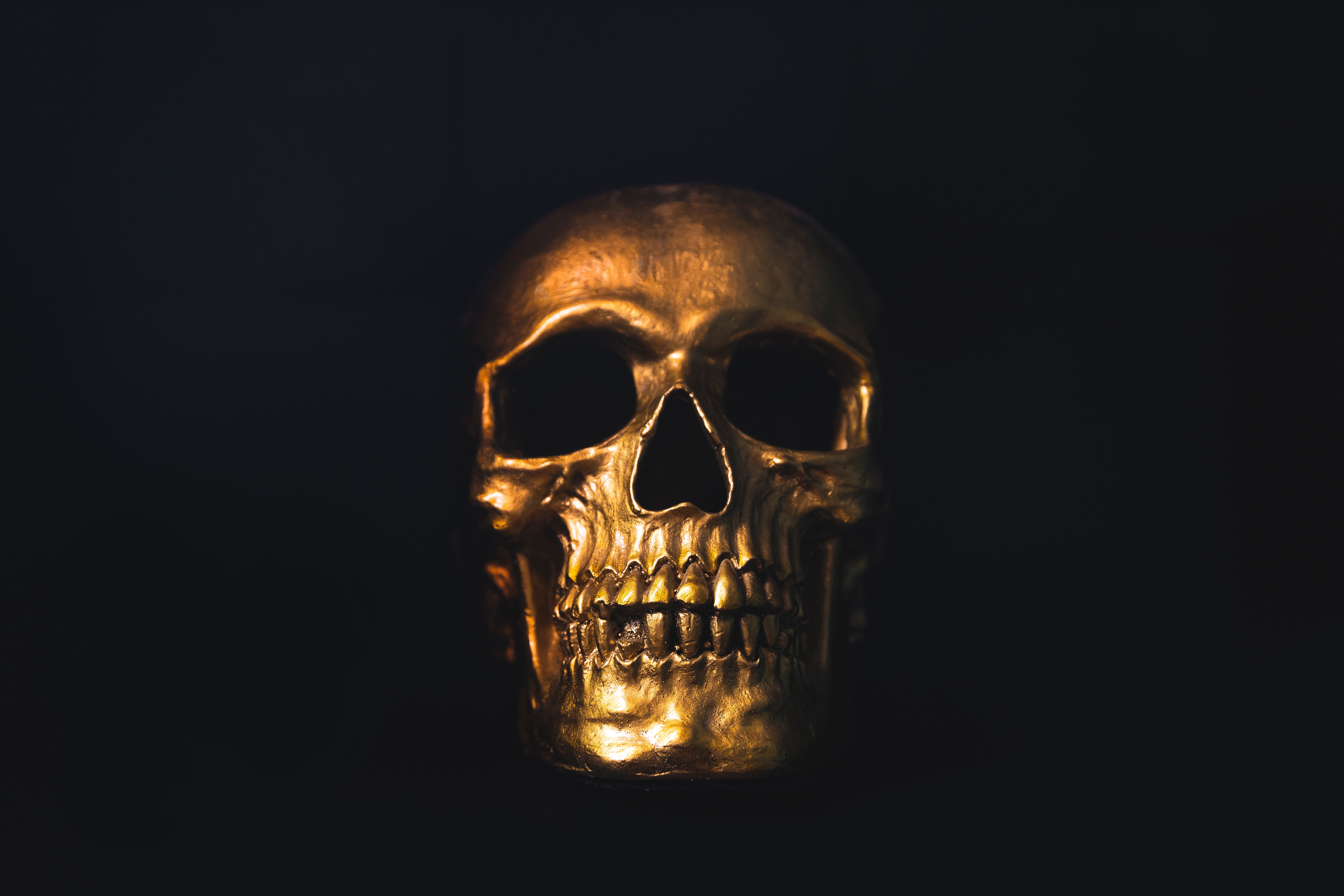 skull, gold, dark, shine, brilliance, ornament Full HD