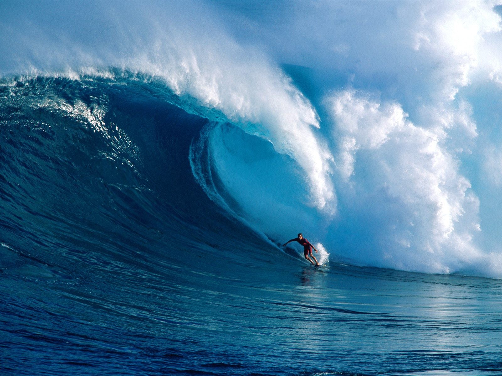 wave, sports, surfing, blue, ocean, sea, surfer
