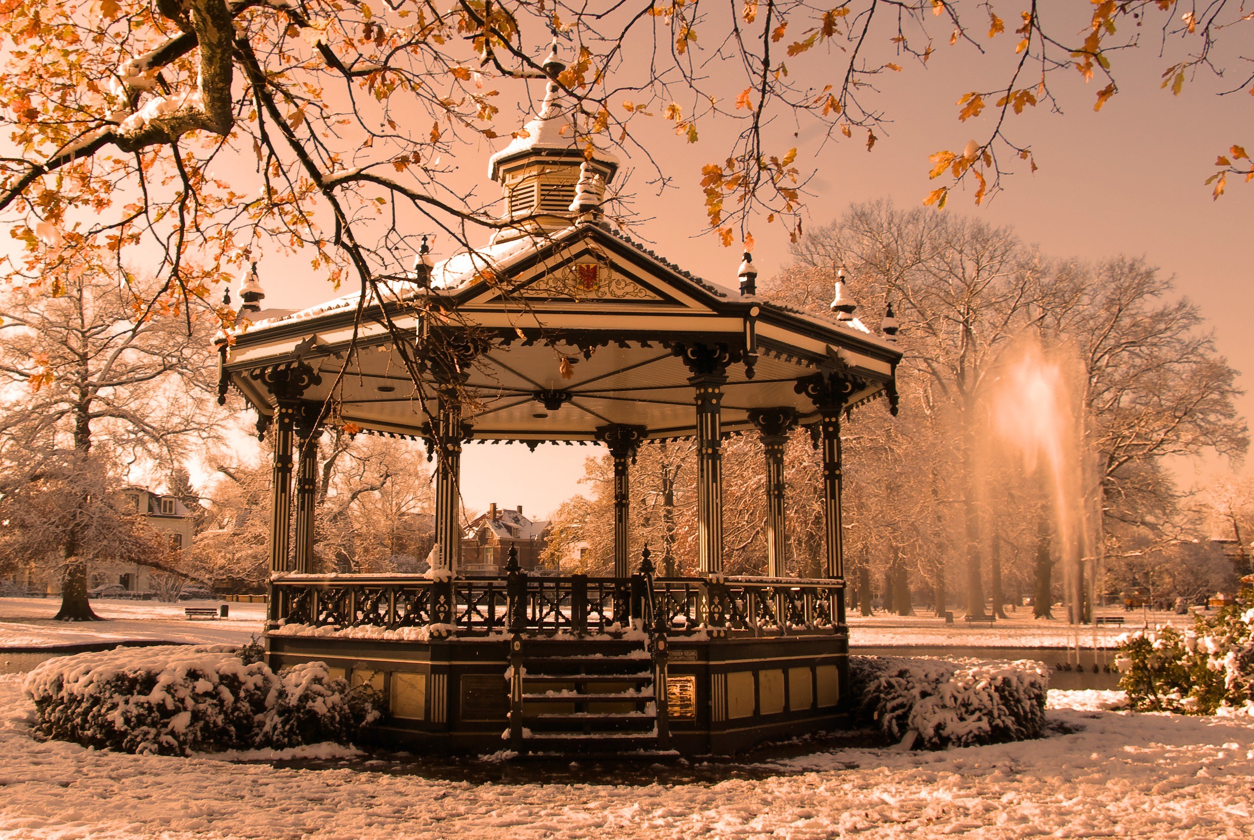 зима в парках мира