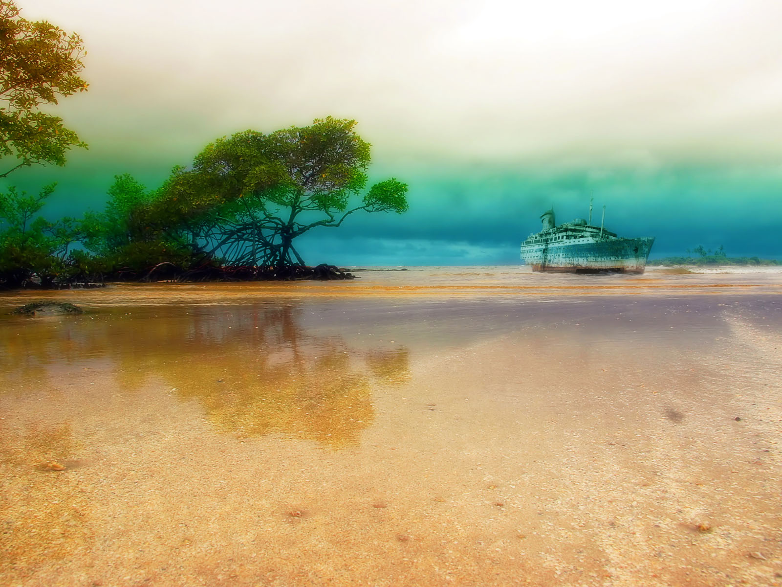 reflection, beach, photography, tropical, mangrove, shipwreck 1080p