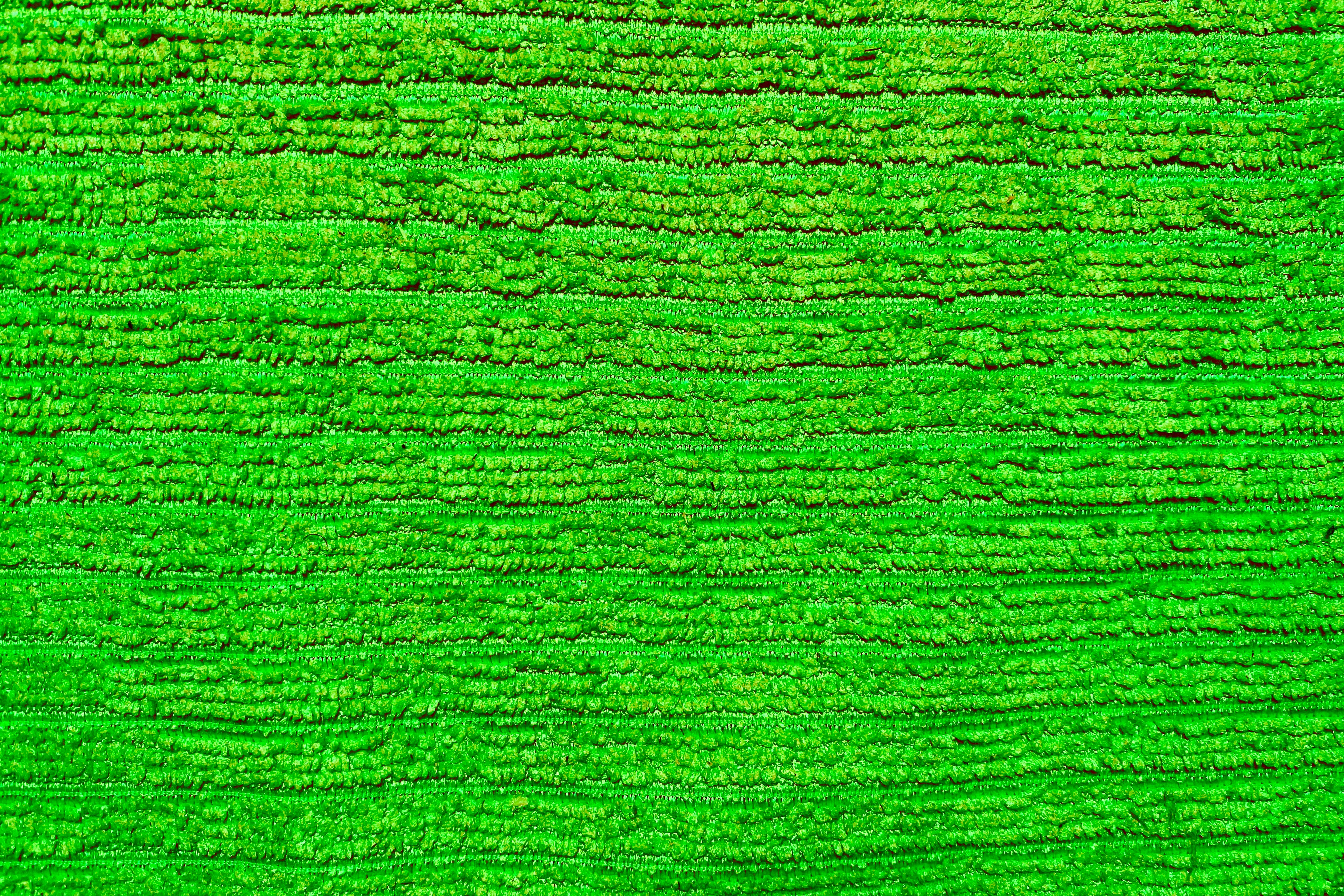 Зеленый цвет текстура