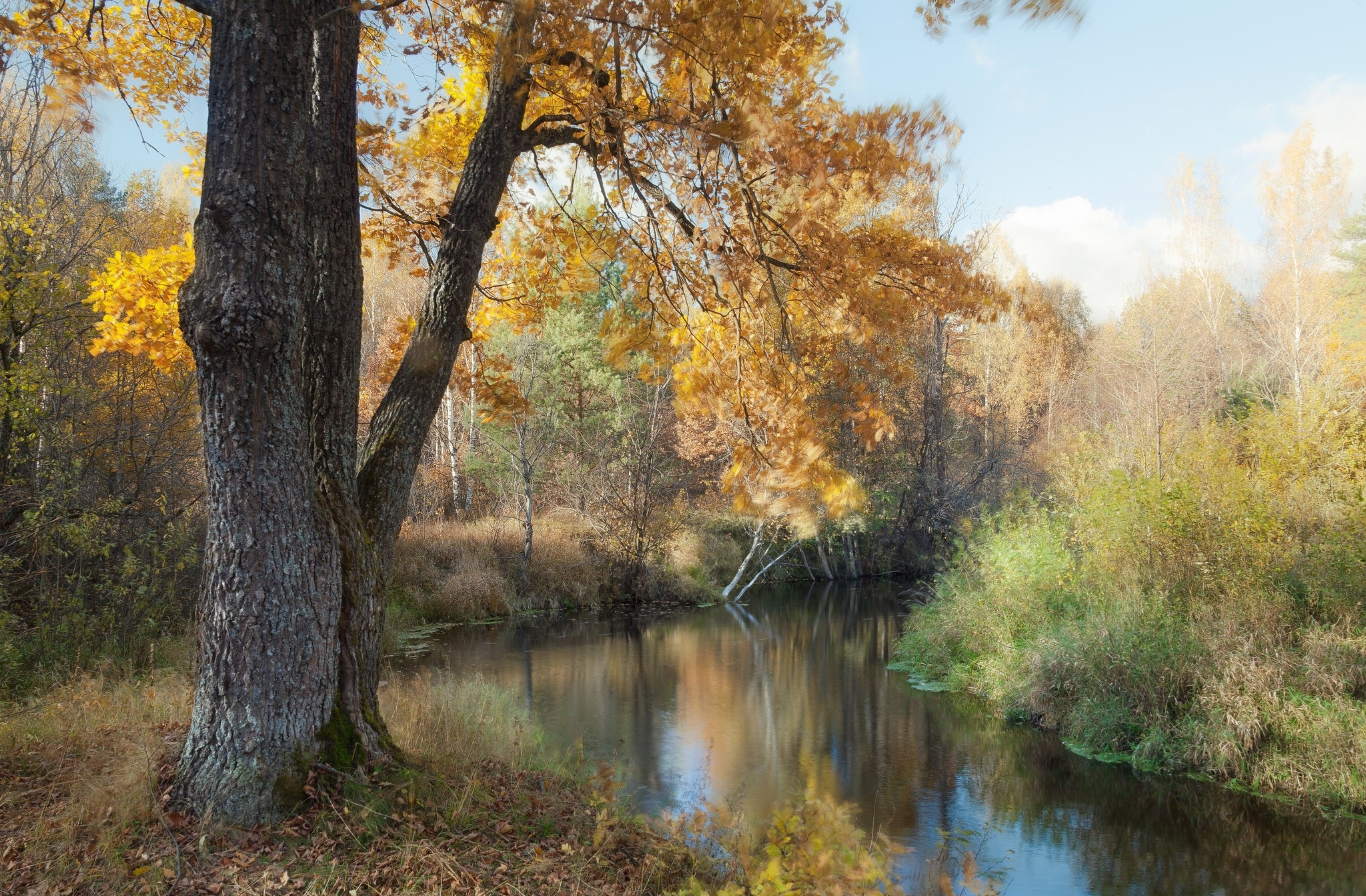 Осень река Кремянка