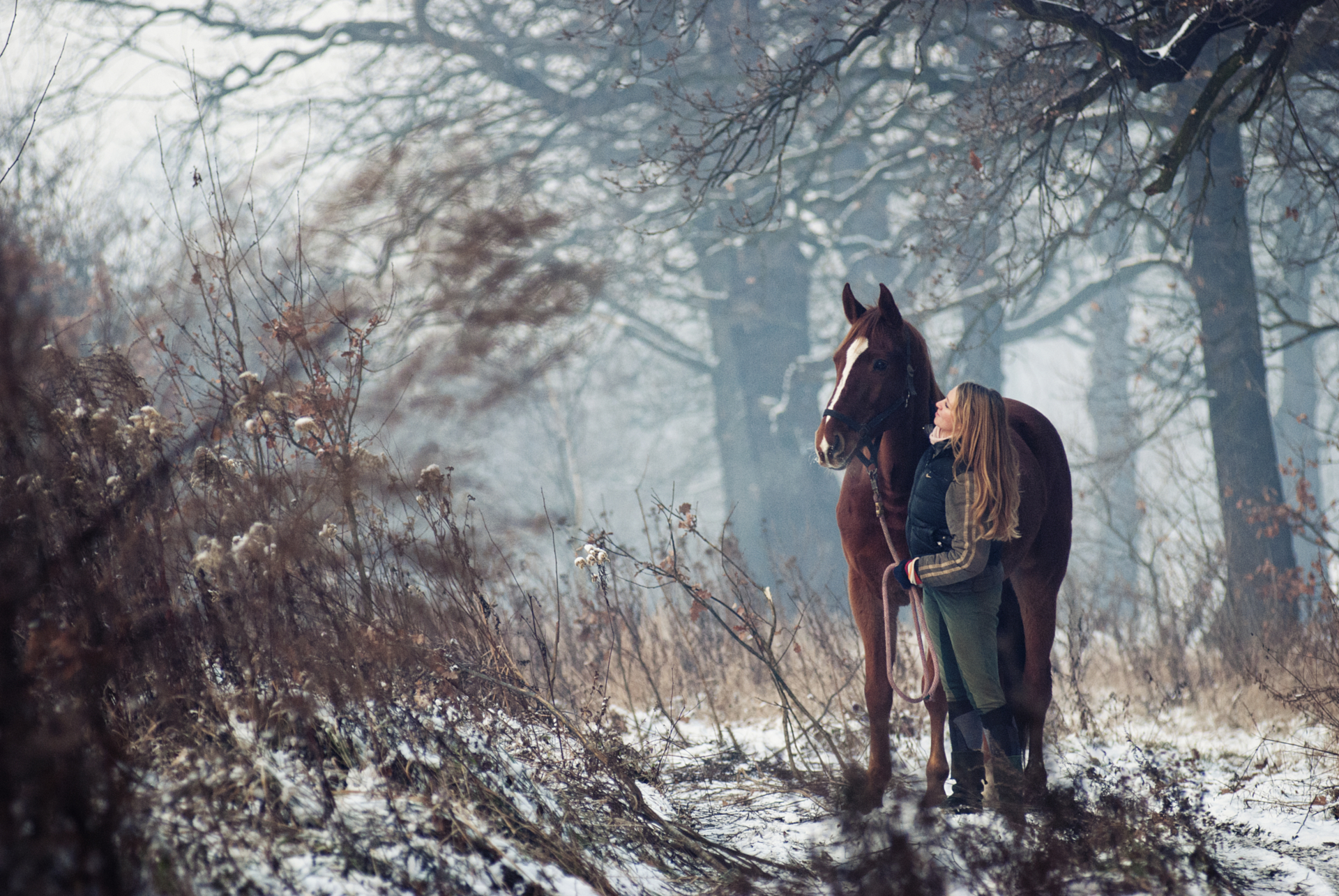 Фотосессия с лошадью в лесу
