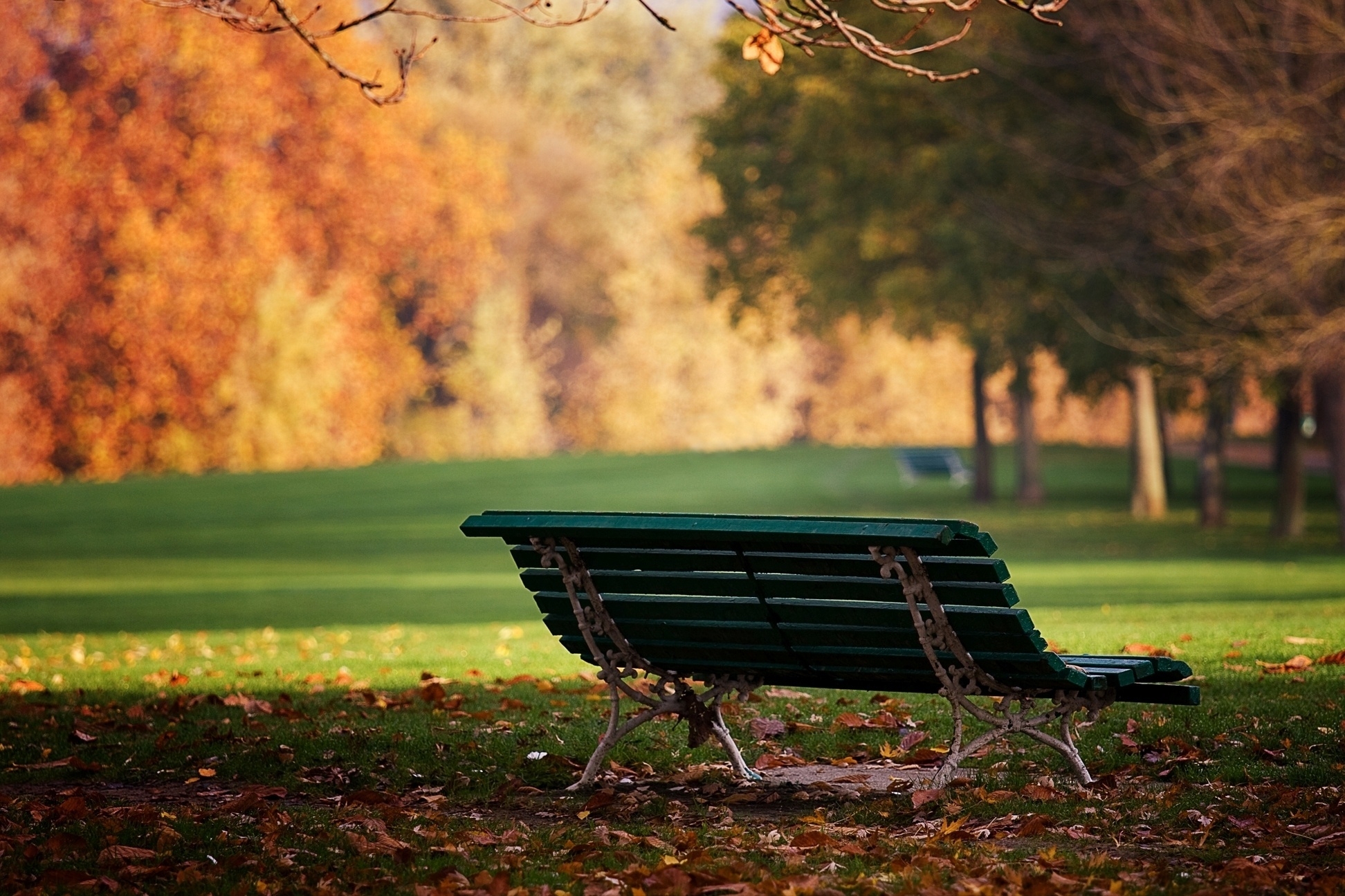 109231 скачать обои октябрь, одинокая, природа, осень, листья, парк, земля, скамейка - заставки и картинки бесплатно