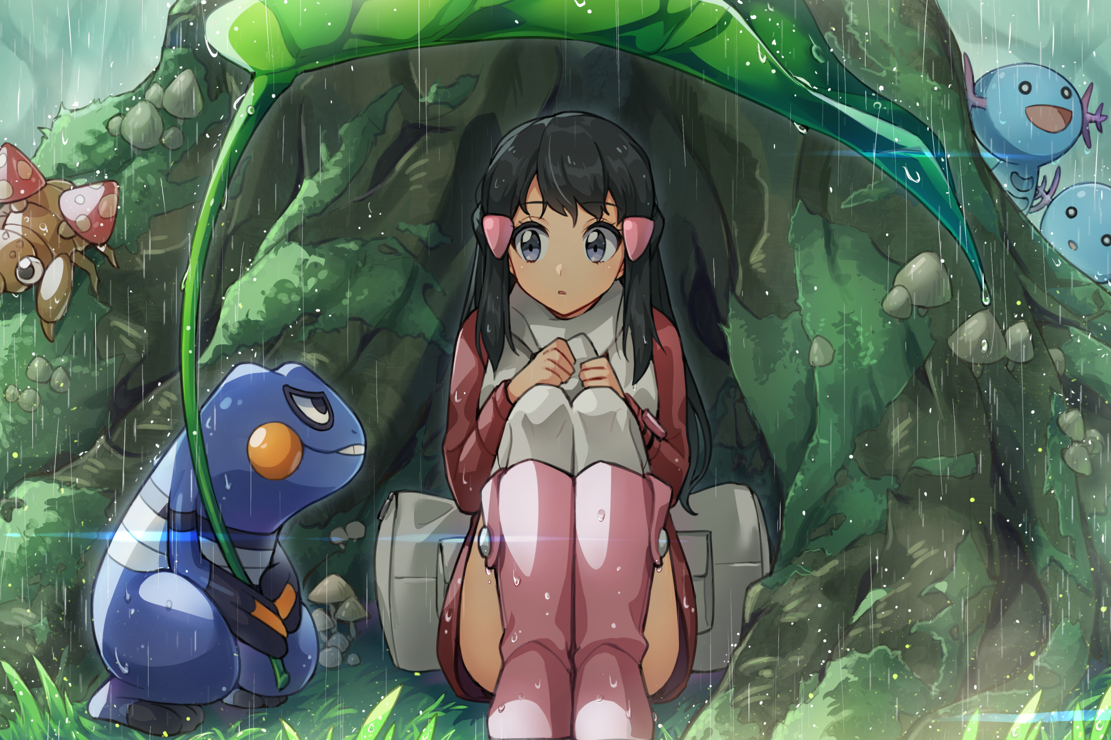 Anime, Pokémon, Piplup (Pokémon), Dawn (Pokémon), HD wallpaper
