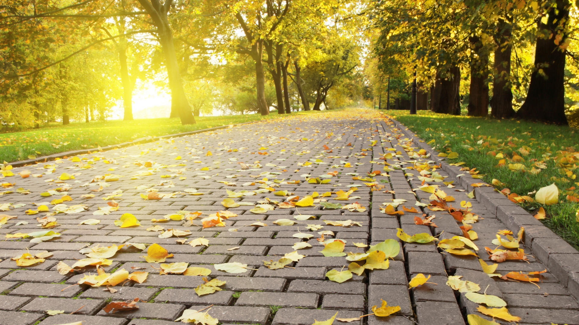 無料モバイル壁紙道路, 秋, 風景をダウンロードします。