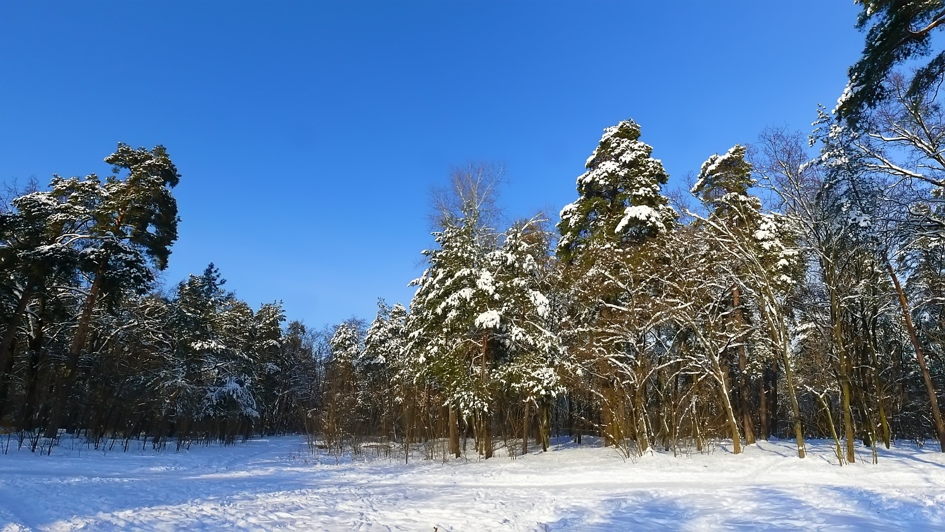 Скачать картинку Природа, Пейзаж, Зима в телефон бесплатно.