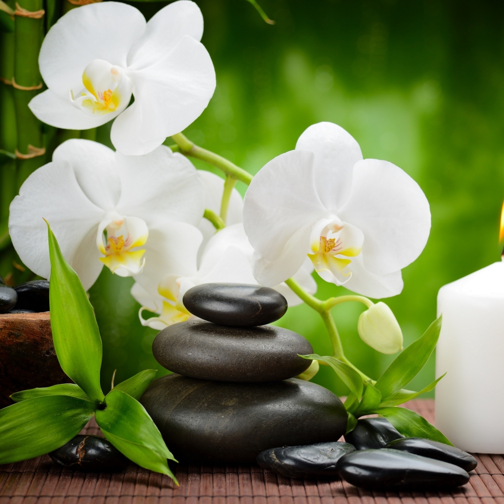 orchid, religious, zen, candle, spa, towel HD wallpaper