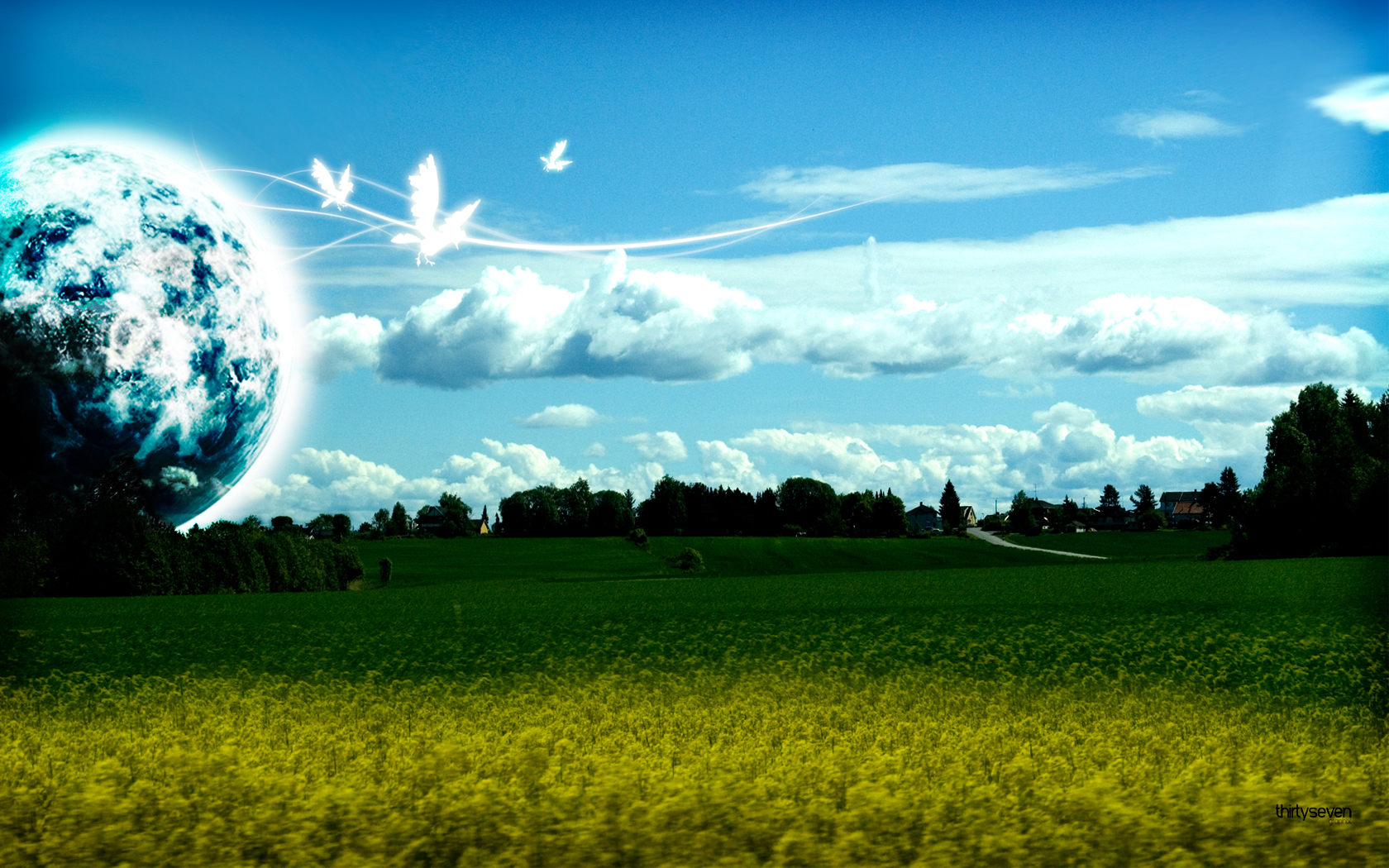 android grass, green, earth, a dreamy world, bird, blue, cloud, field, planet, sky