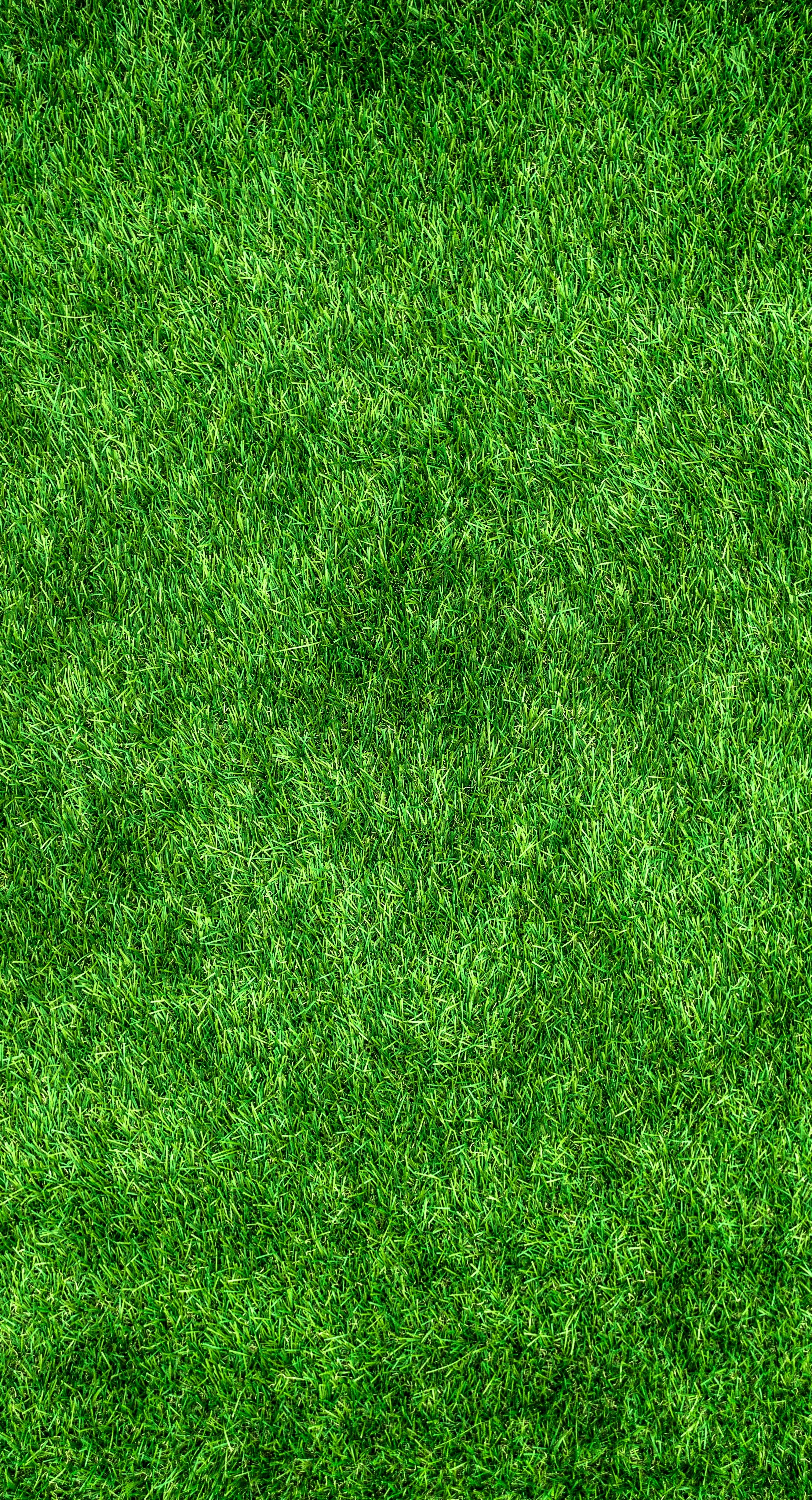 grass, green, texture, textures, surface, thick, lawn mobile wallpaper