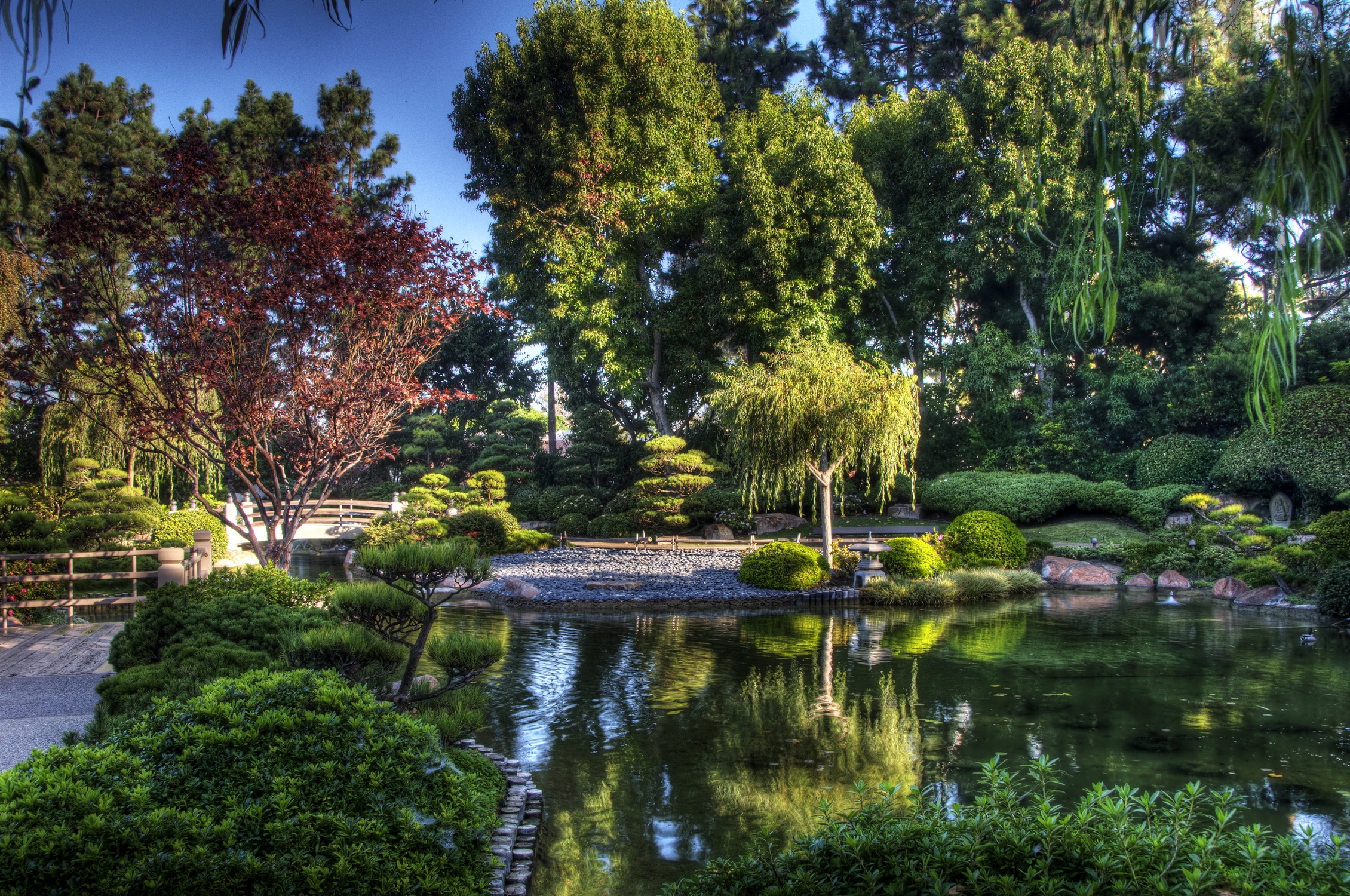 nature, sky, green, blue, bridge, pond, arboretum cellphone