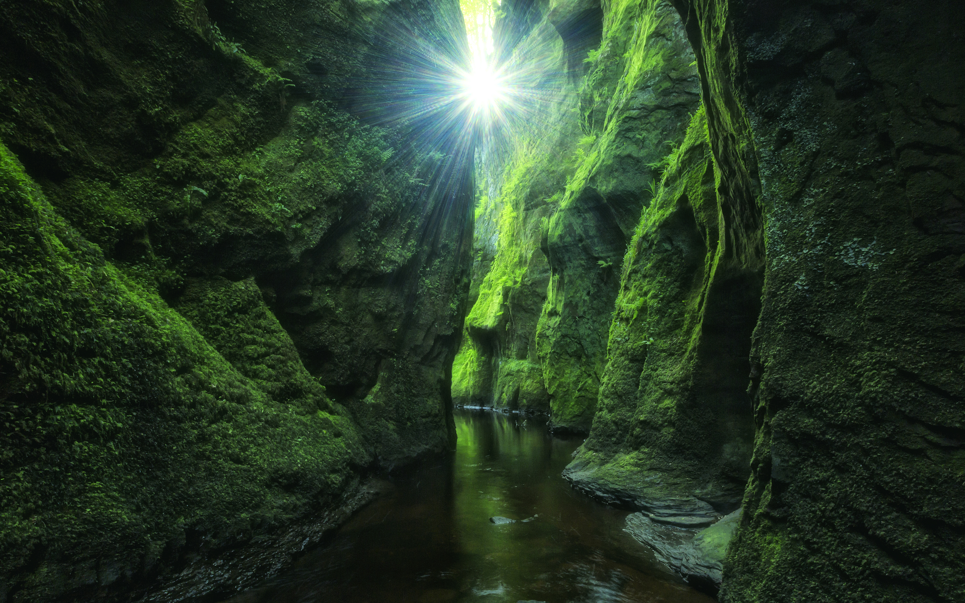 Пещеры Вайтомо новая Зеландия