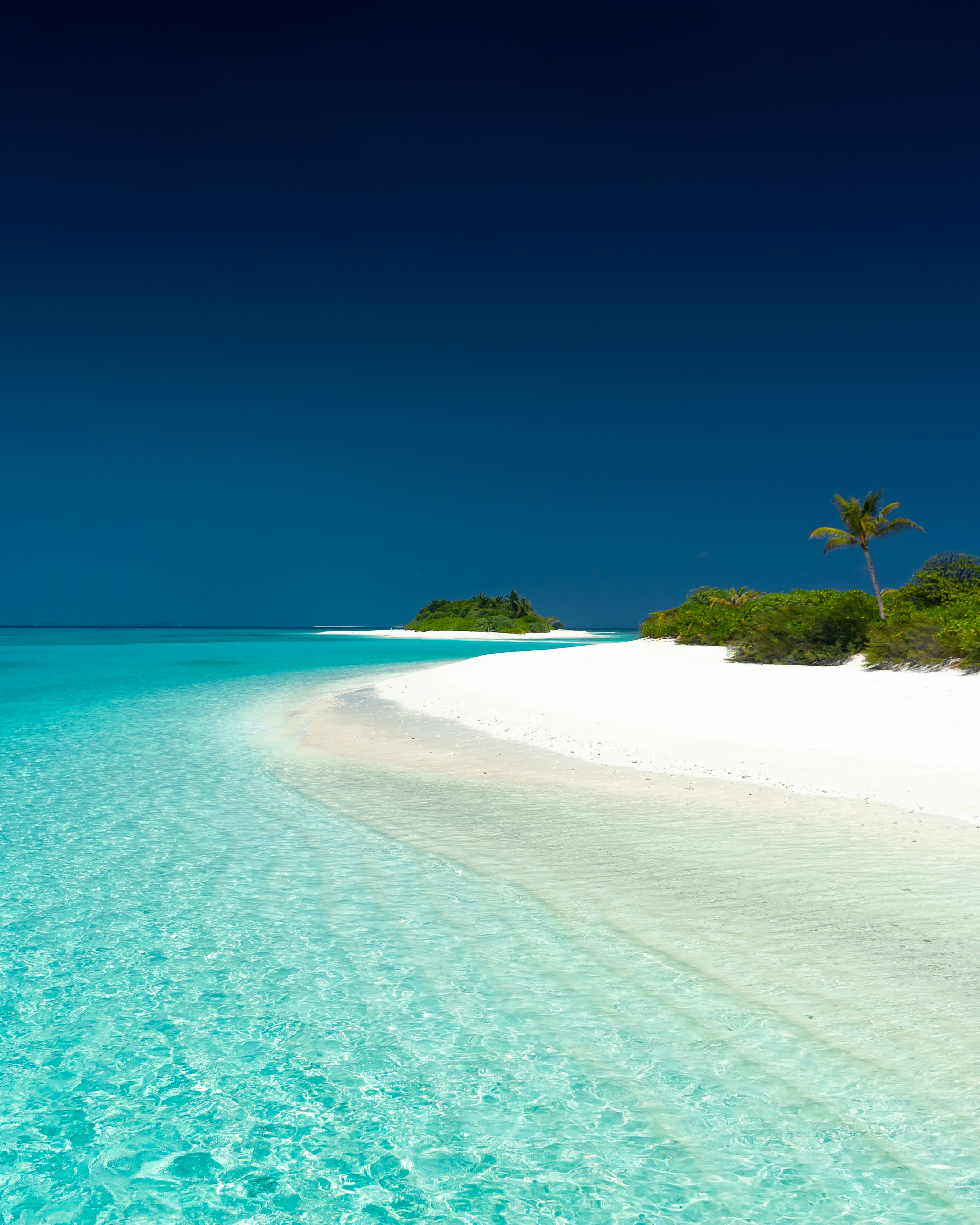 beach, ocean, nature, sky, sand, palms, island 8K