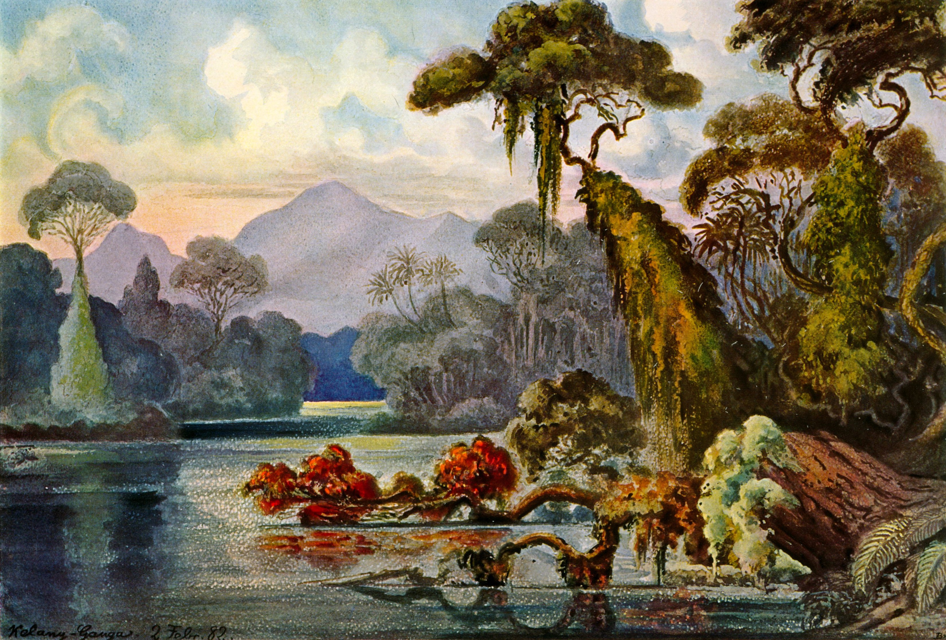 Téléchargez des papiers peints mobile Jungle, Ernst Haeckel, Ceylan, Lithographie, Ernst Heckel, Art gratuitement.