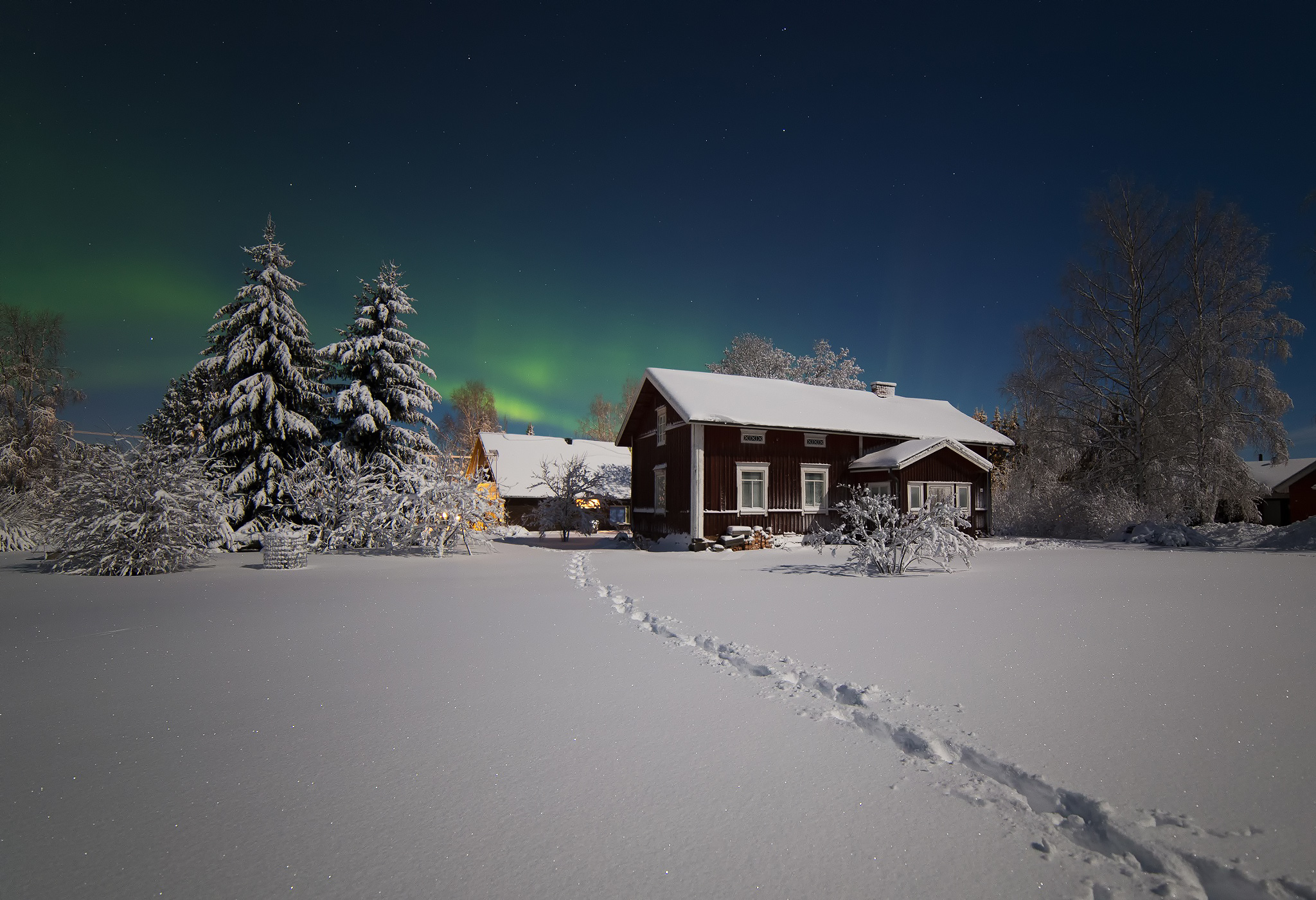 android winter, house, snow, aurora borealis, trees, nature, northern lights