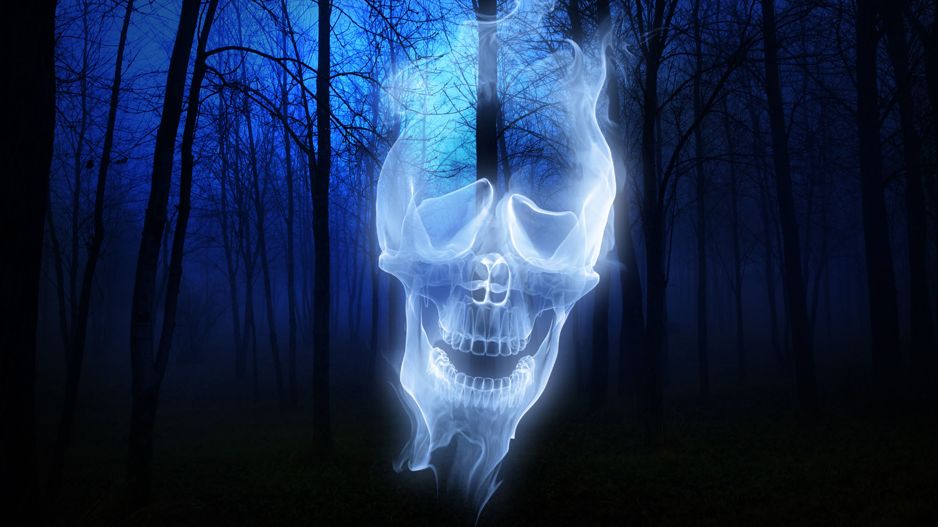 Download mobile wallpaper Halloween, Forest, Holiday, Ghost, Spooky for free.