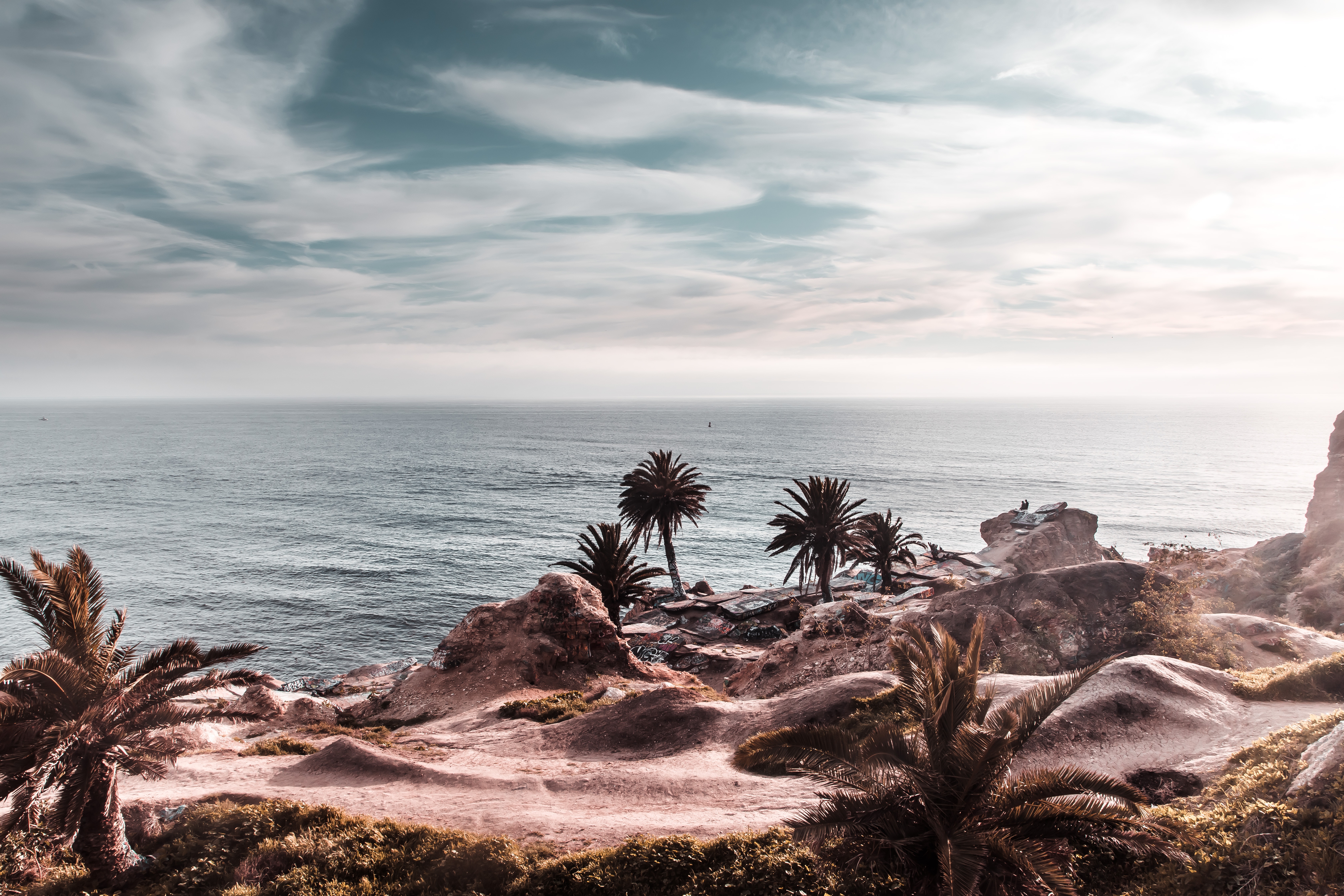 cliff, nature, palms, horizon, bank, shore, ocean, rocky
