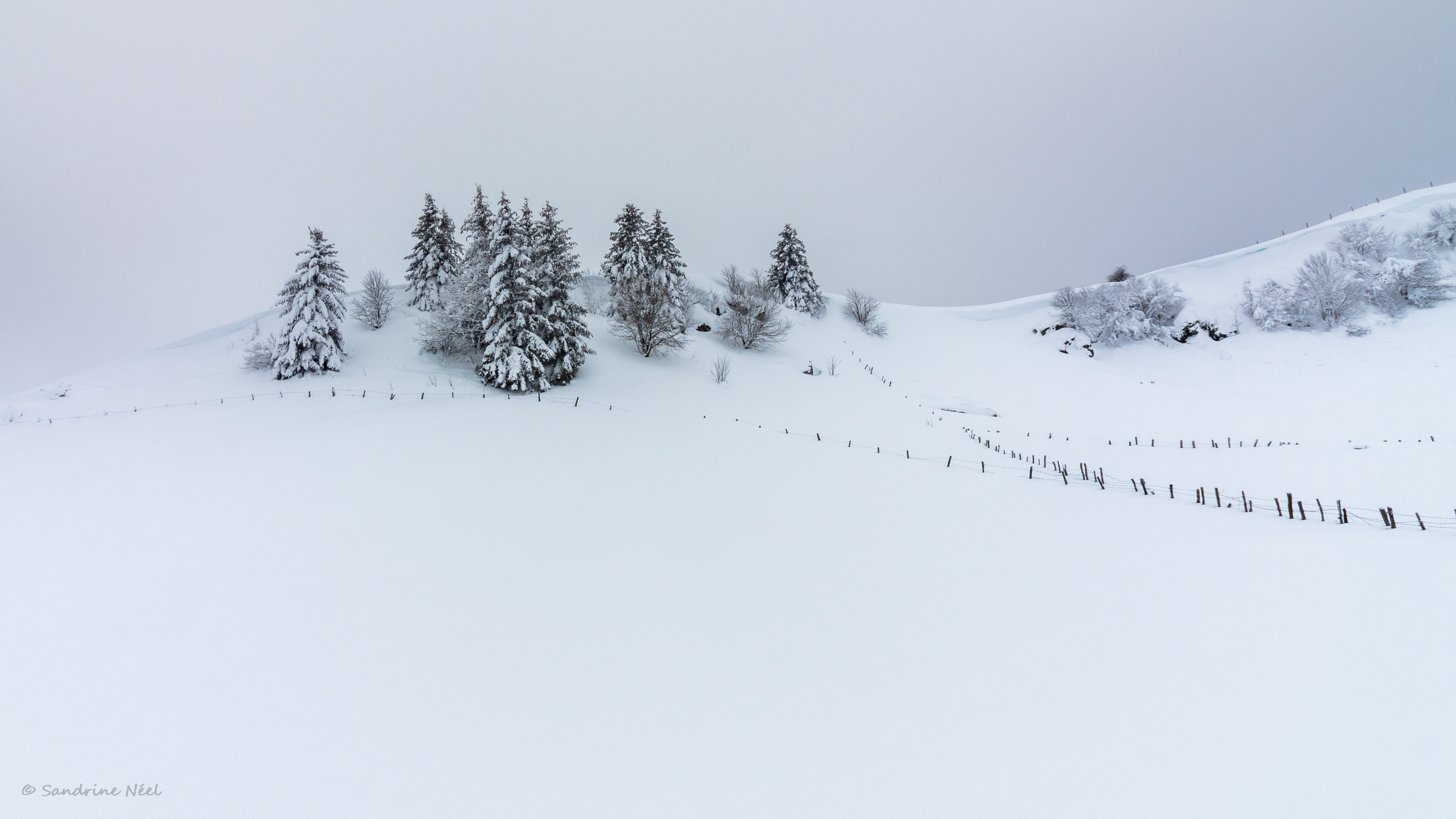 Download mobile wallpaper Snow, Winter, Trees, Fir Trees, Hill, Nature for free.