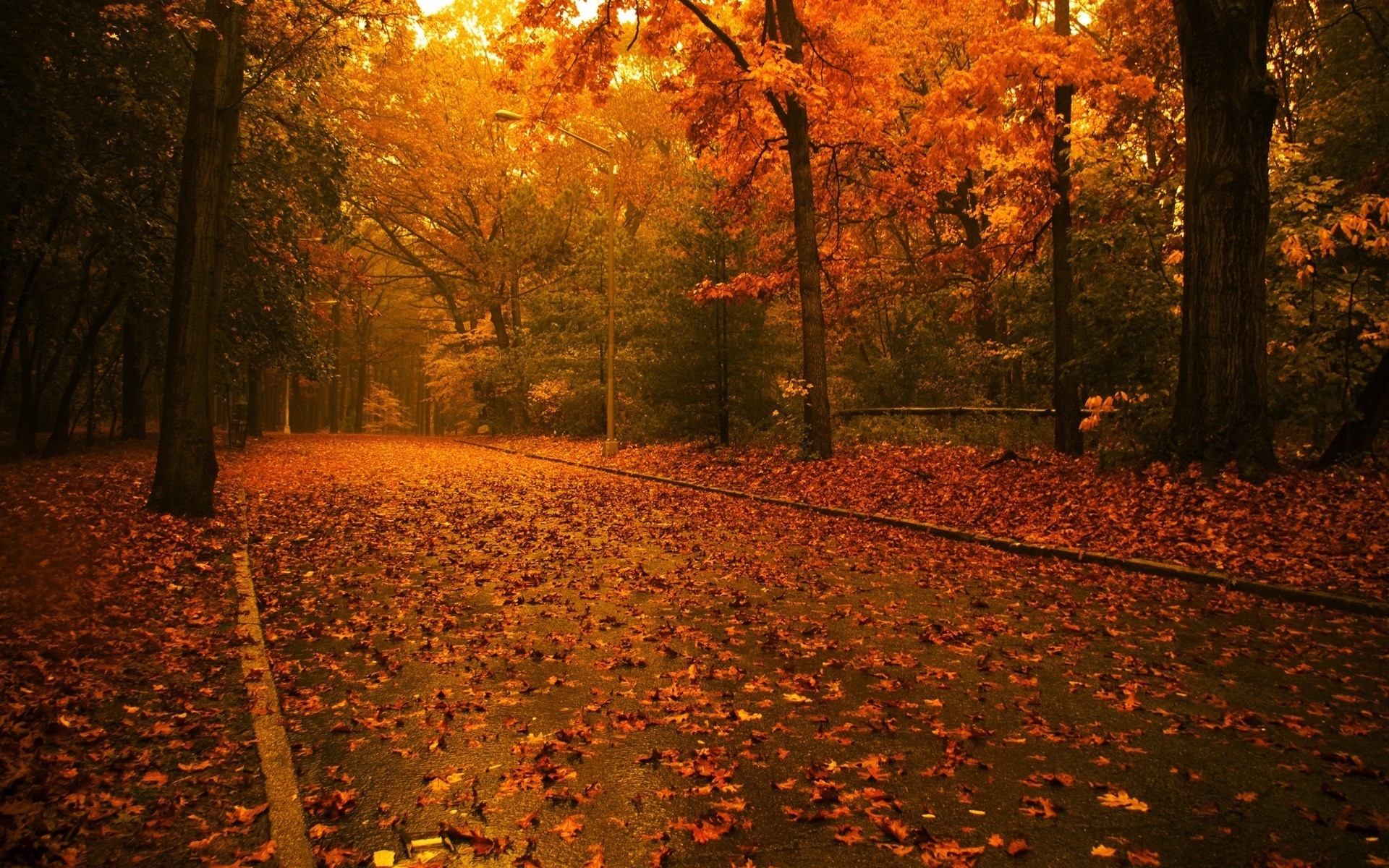 Download mobile wallpaper Roads, Leaves, Landscape, Autumn for free.