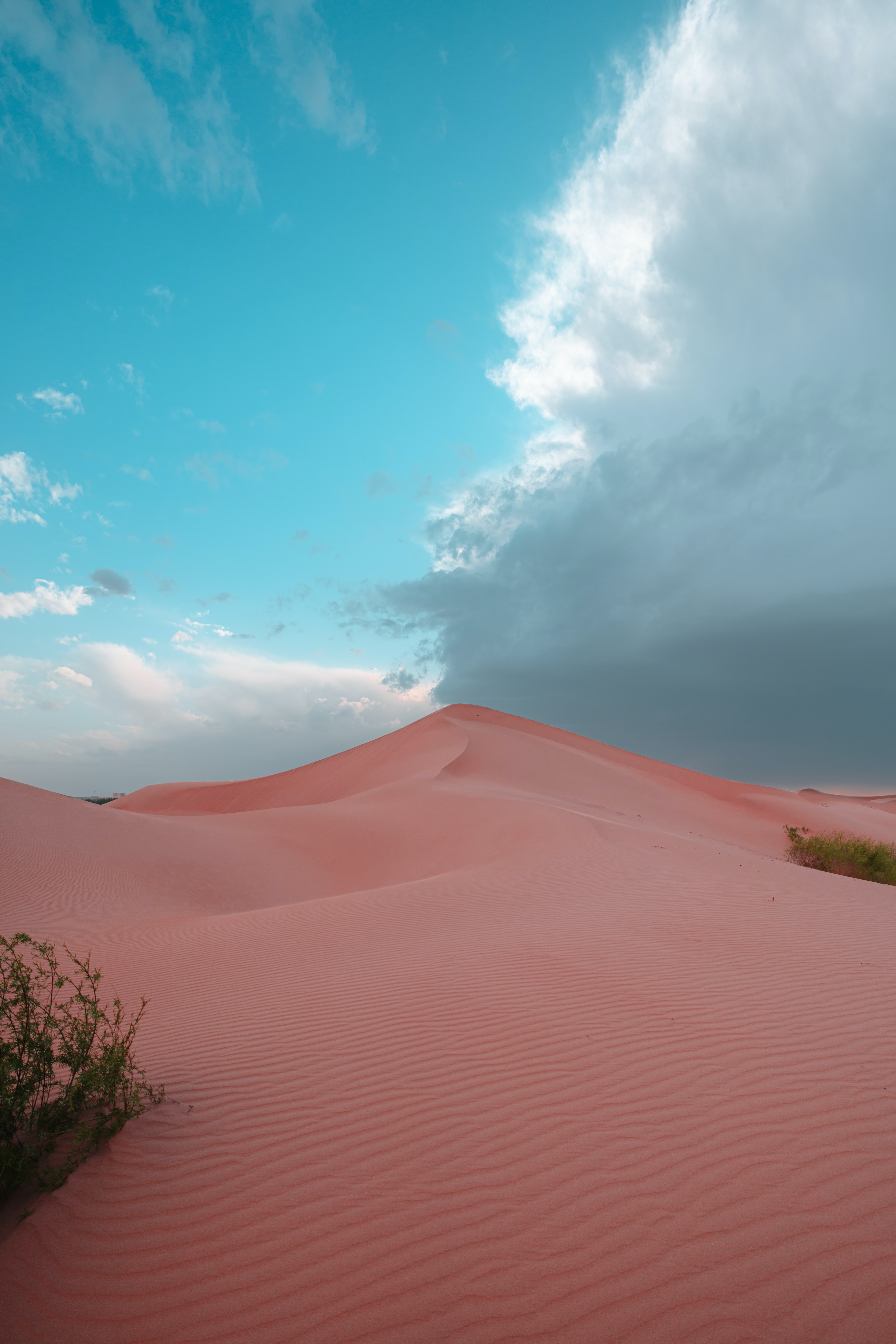 121662 descargar fondo de pantalla naturaleza, arena, desierto, arbusto, cerro, loma, dunas: protectores de pantalla e imágenes gratis