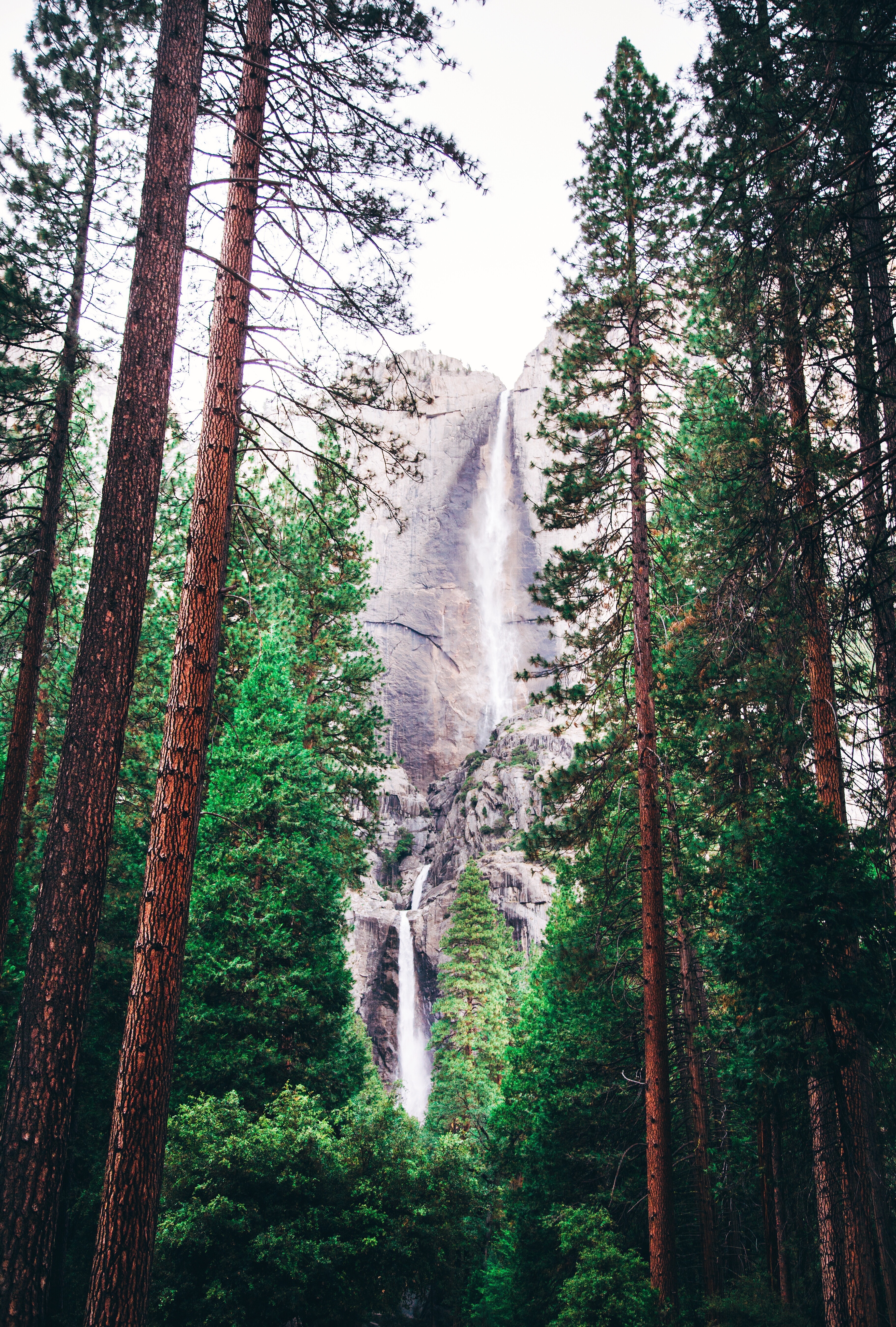 Download mobile wallpaper Forest, Waterfall, Trees, Nature for free.