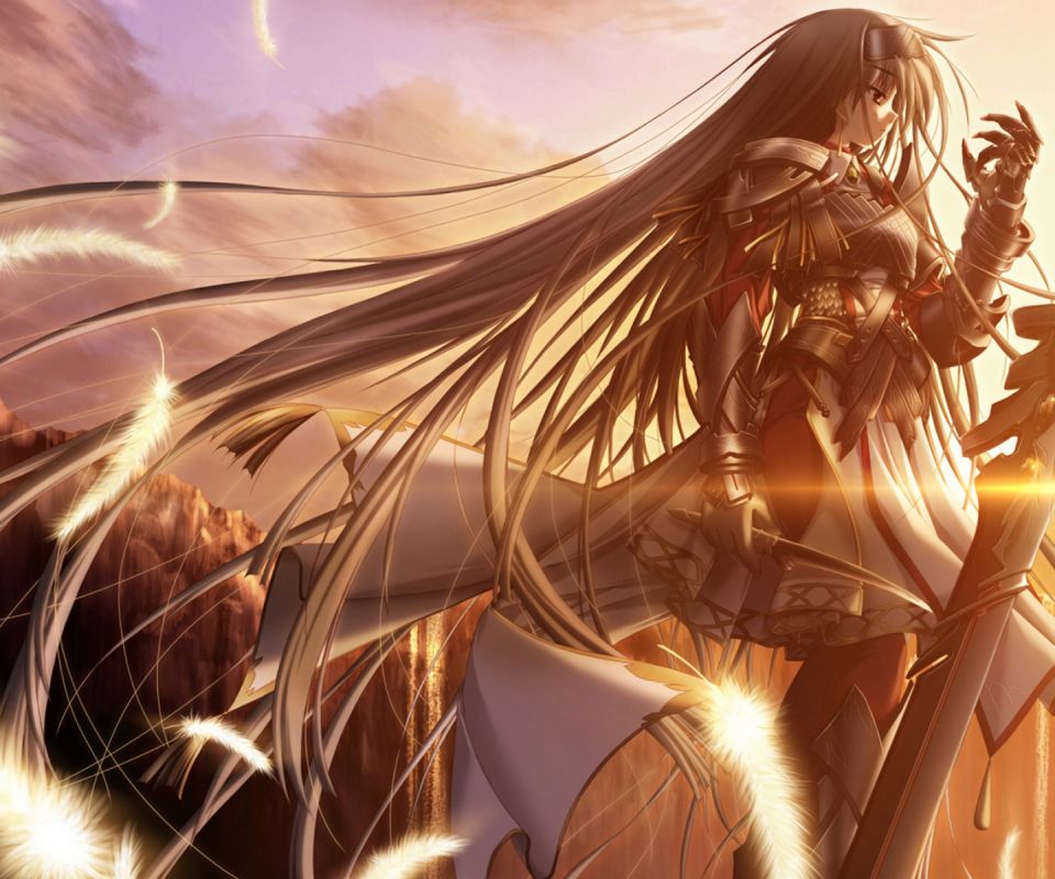 Images Grey Feather Alliance Wings Anime