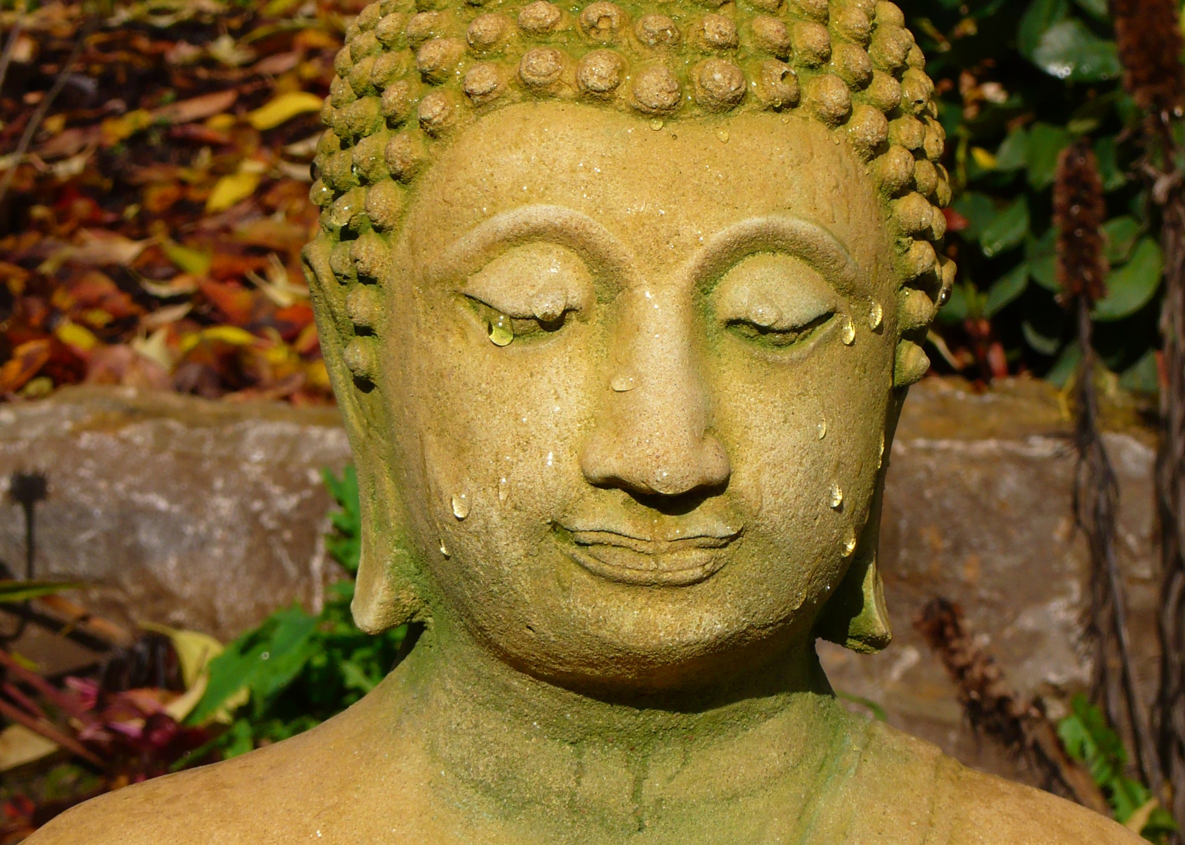 religious, buddha High Definition image