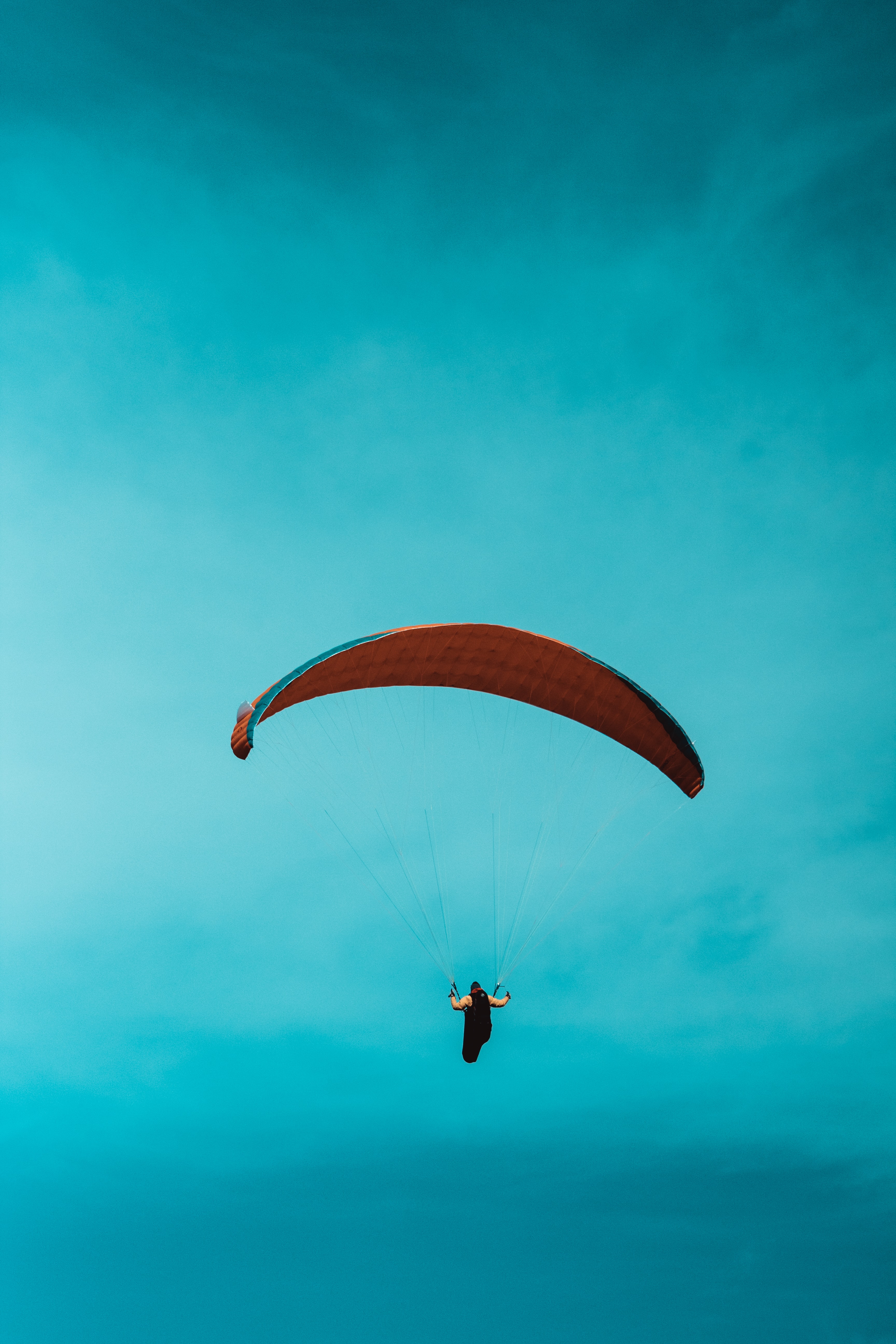 paragliding, sports, sky, paraglider, parachute, parachutist iphone wallpaper