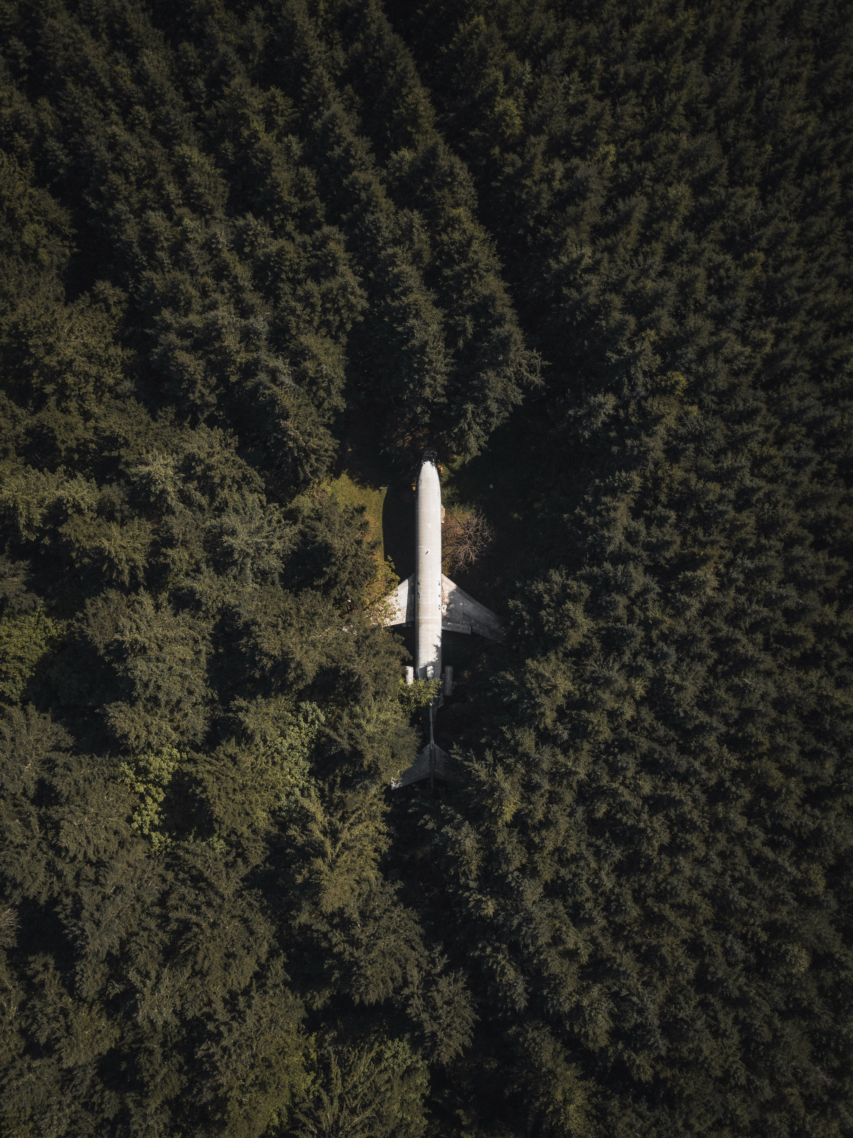 plane, top, trees, view from above, miscellanea, miscellaneous, forest, tops, airplane