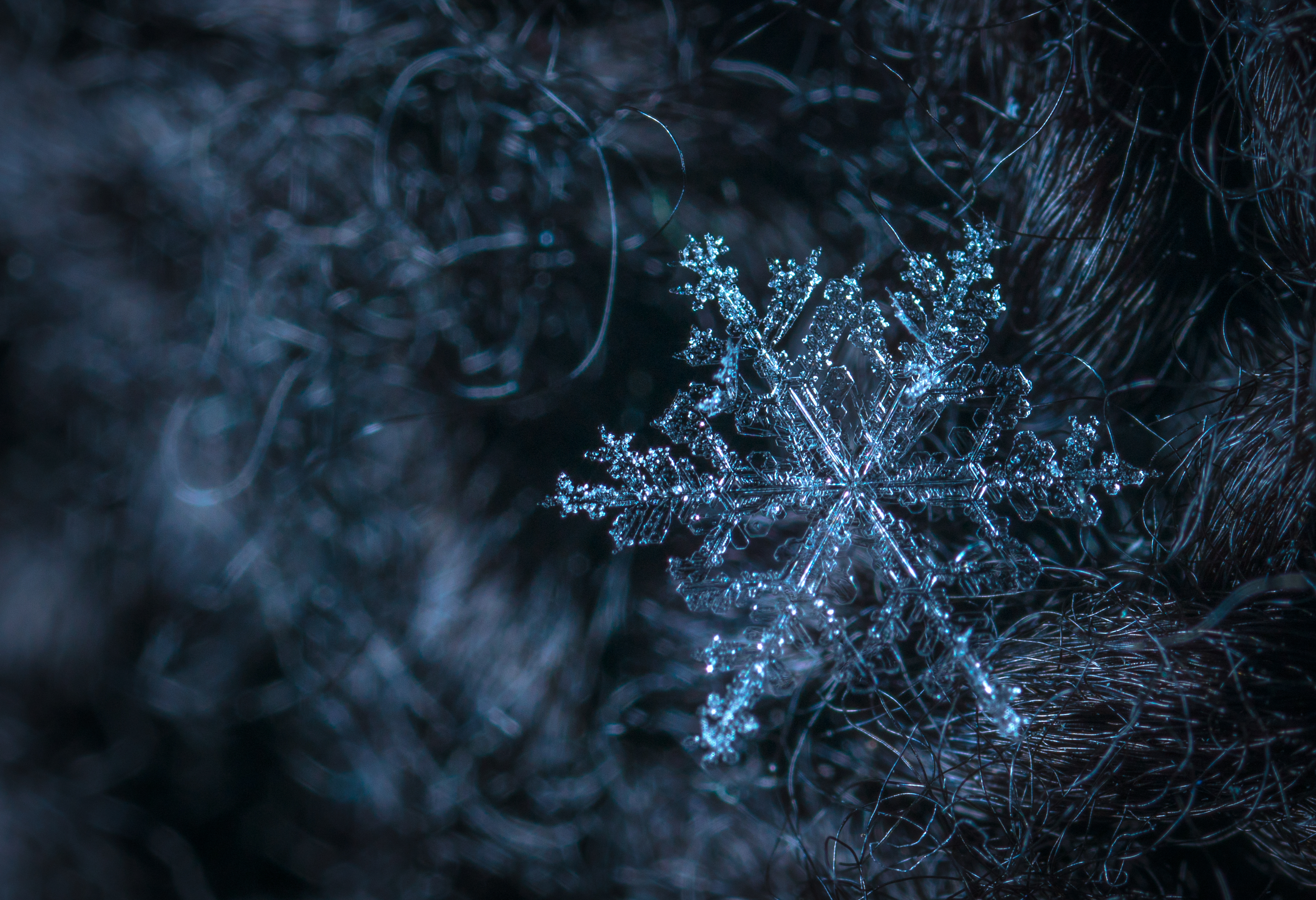 Download mobile wallpaper Snowflake, Structure, Ice, Macro, Pattern for free.