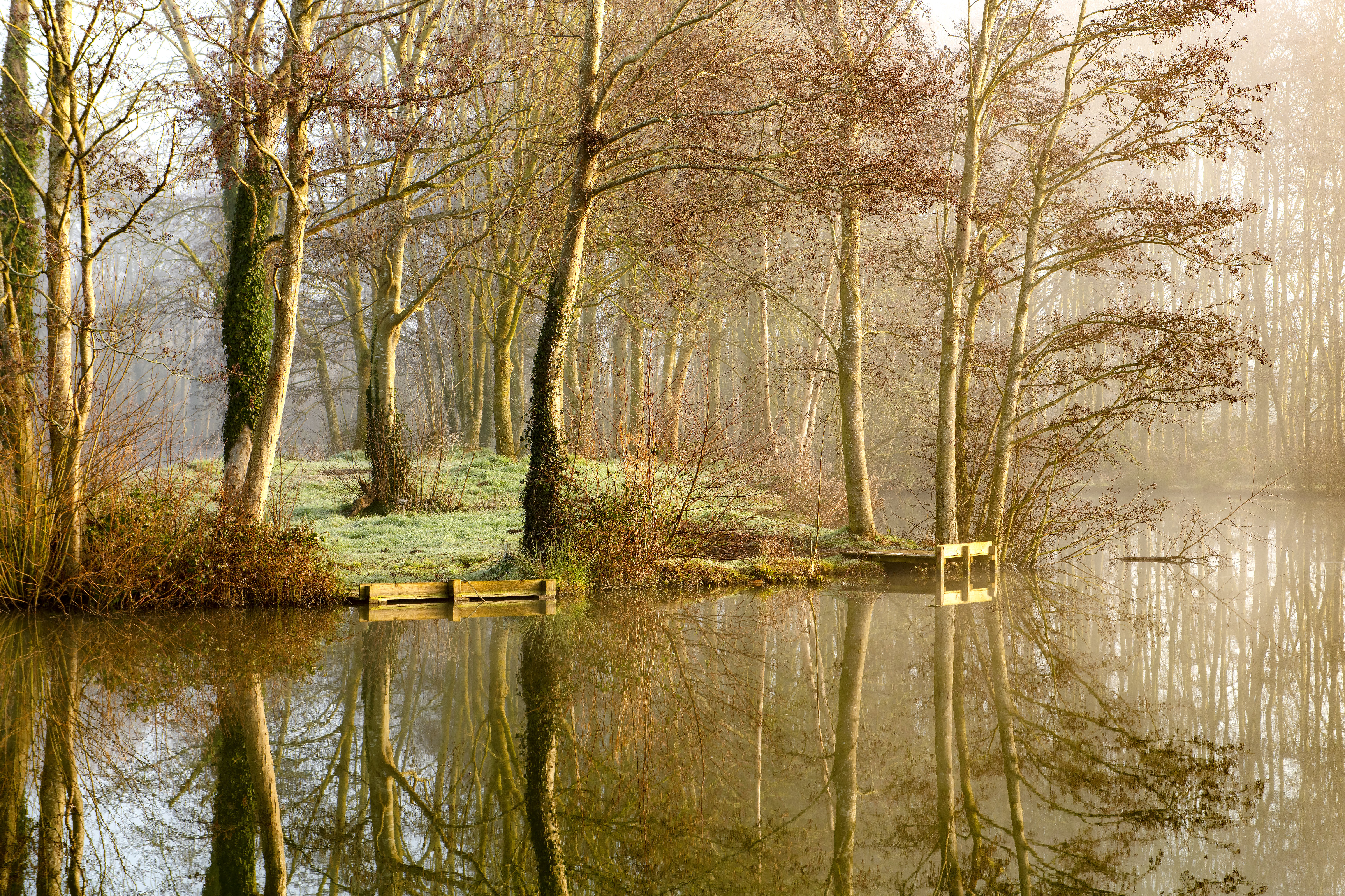 Laden Sie das Natur, Bäume, Reflexion, Wald, Nebel, See-Bild kostenlos auf Ihren PC-Desktop herunter