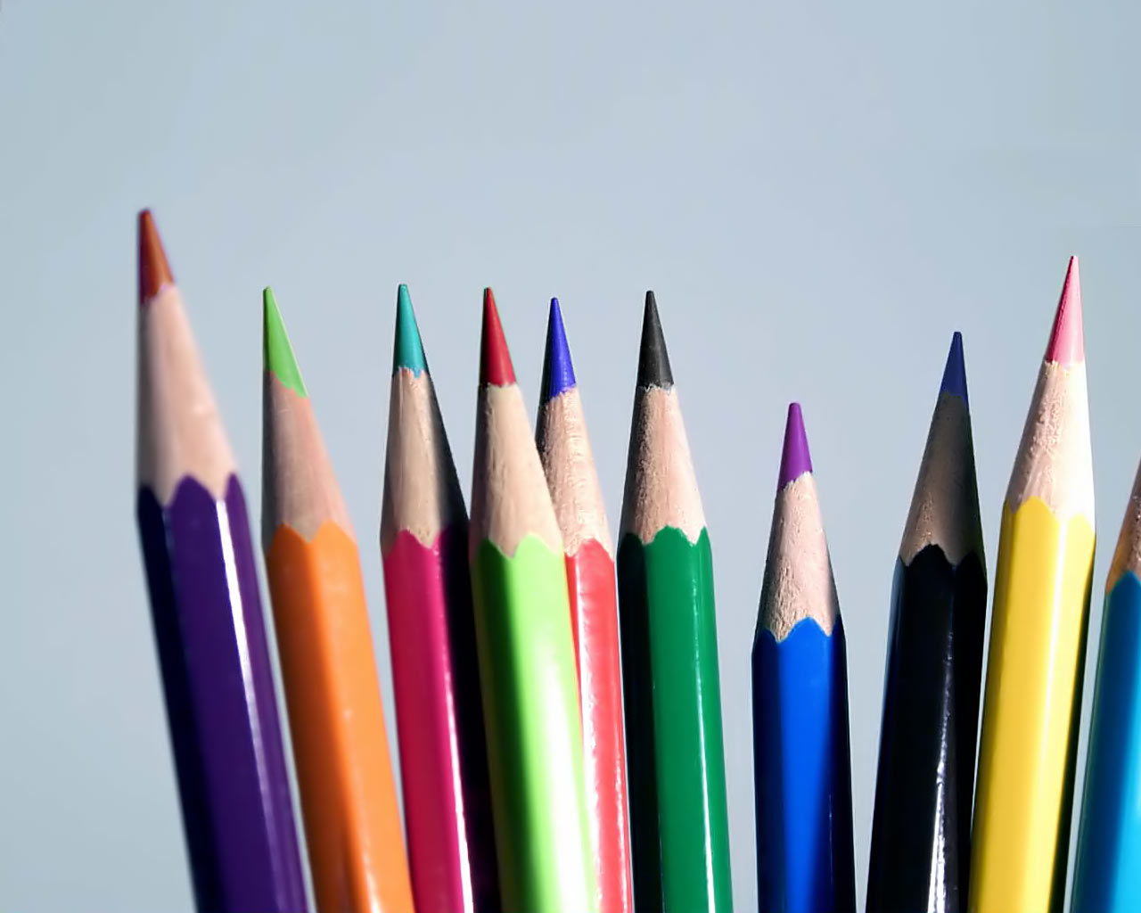 Цветной карандаш один