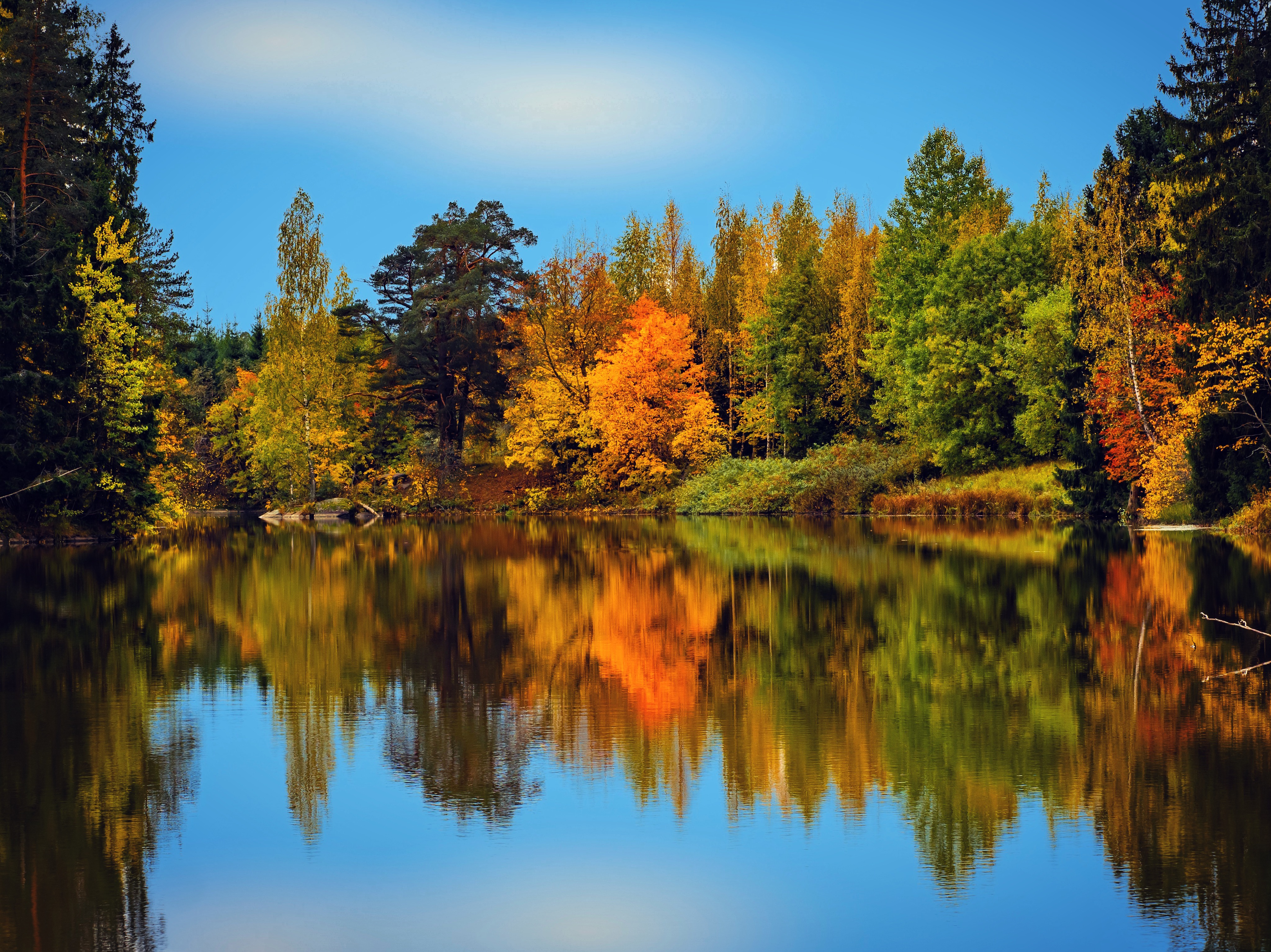 finland, earth, reflection, fall, lake, nature HD wallpaper
