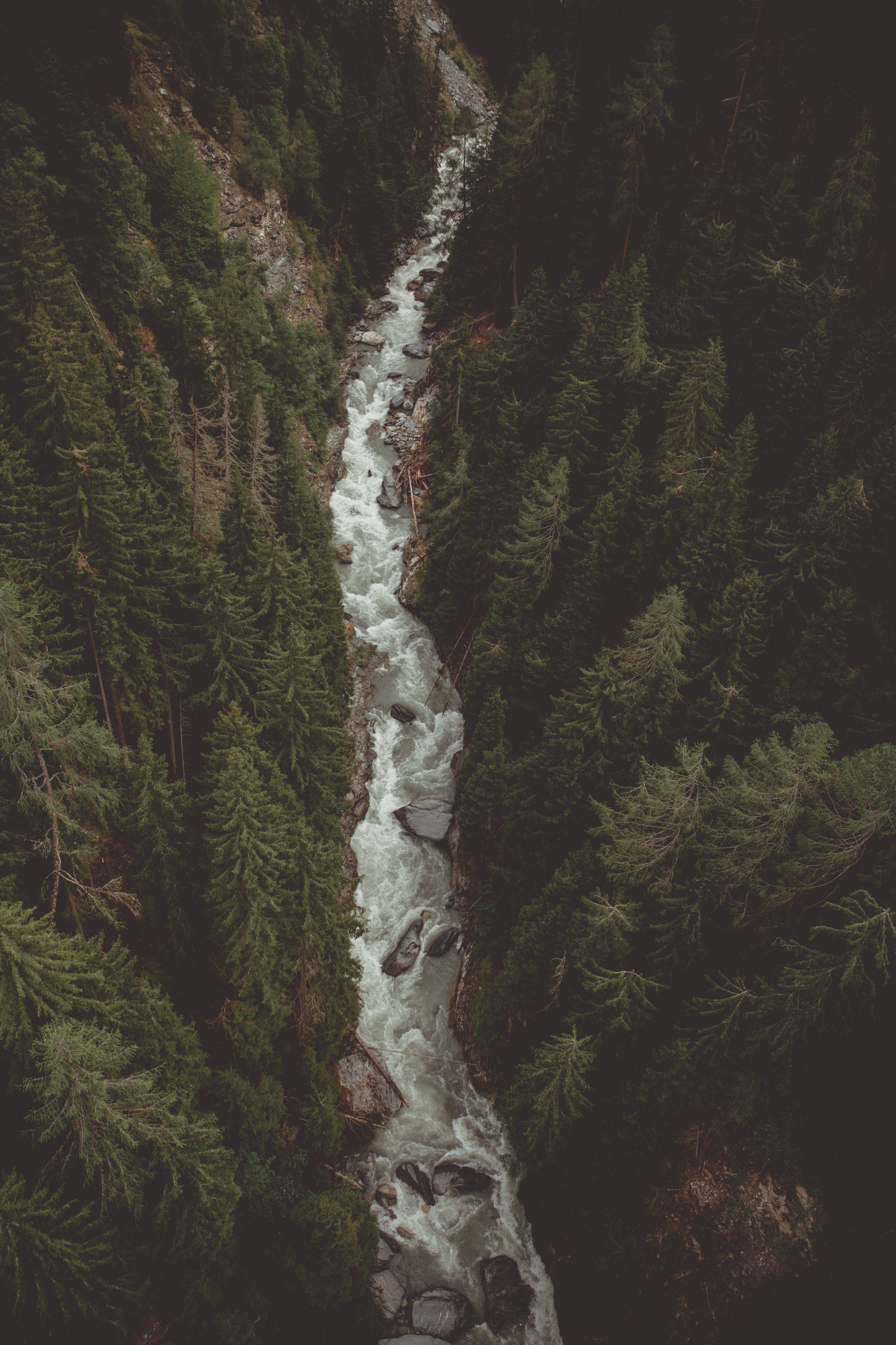 Laden Sie das Natur, Blick Von Oben, Berg, Wald, Fließen, Stream, Flüsse-Bild kostenlos auf Ihren PC-Desktop herunter